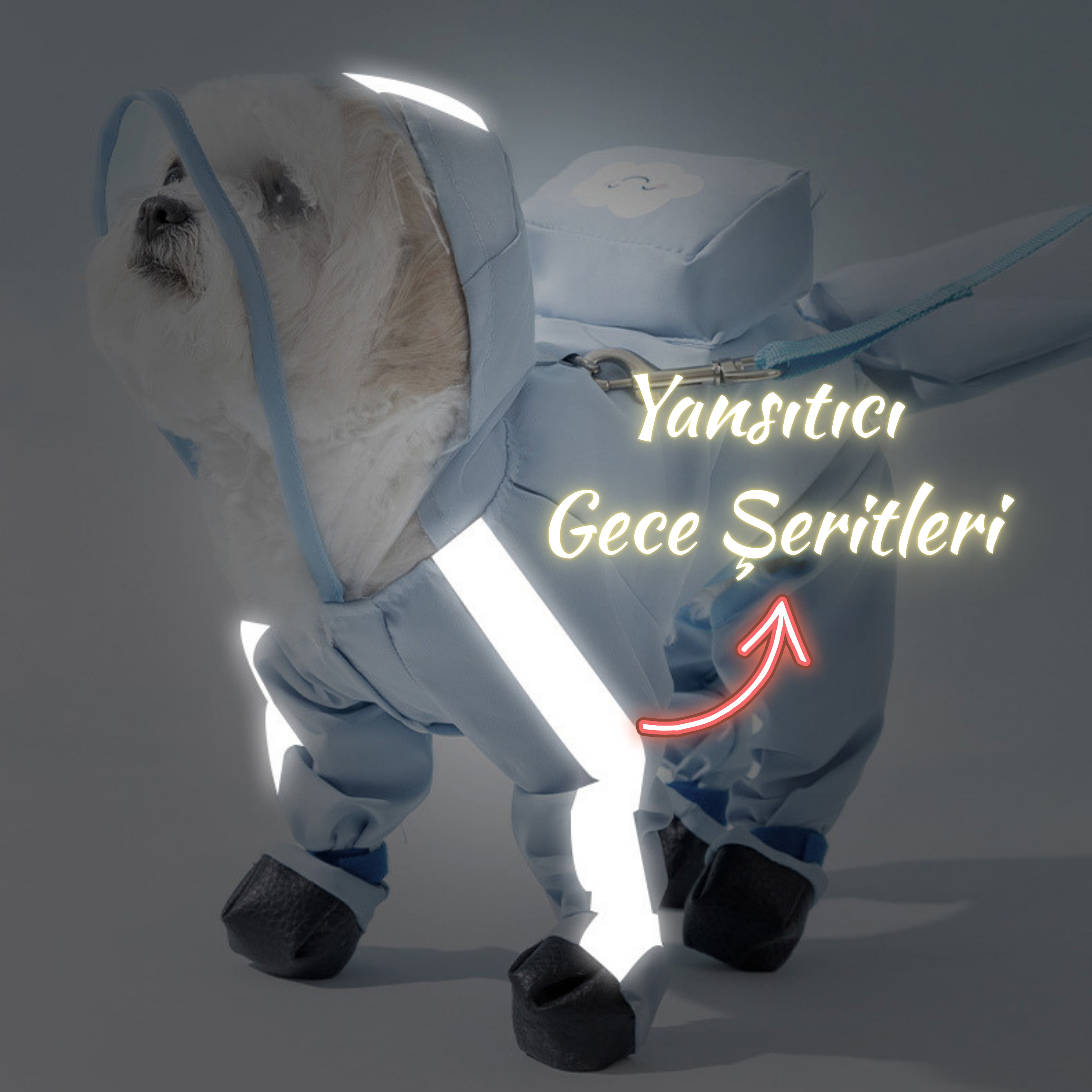 Köpek Gezdirme Yağmurluğu