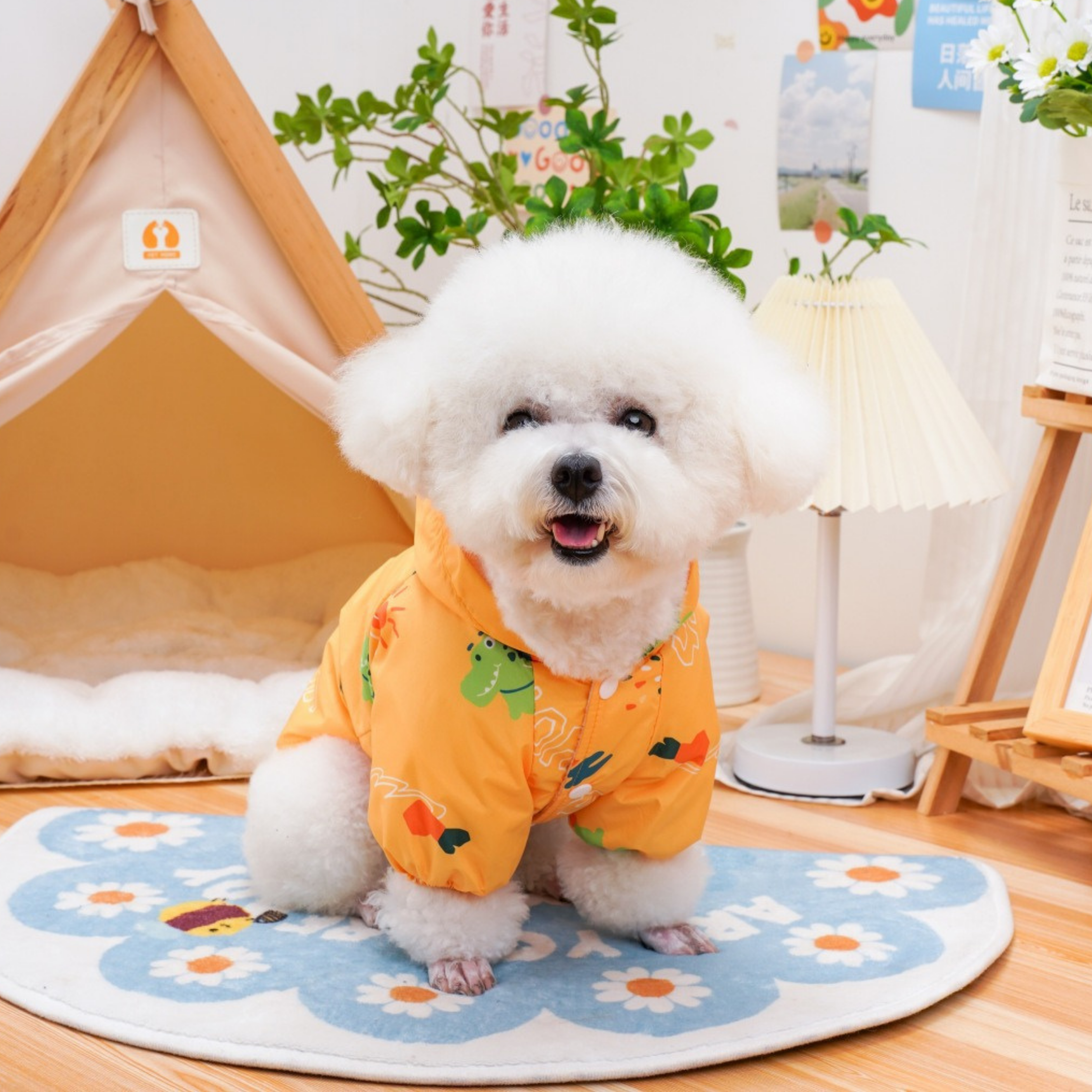 RainDay Renkli Yağmurluk Takımı