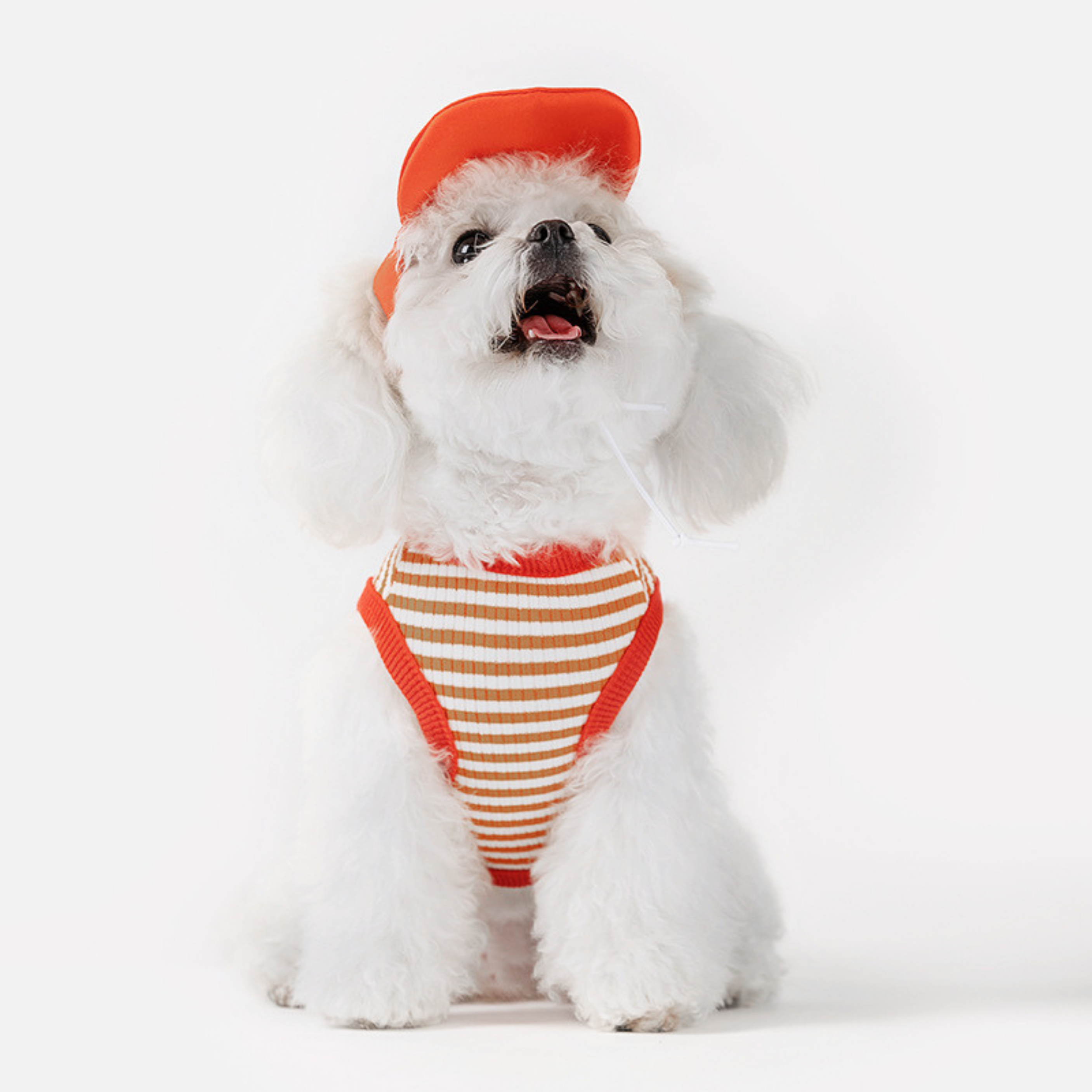 Sportif Köpek Kombini