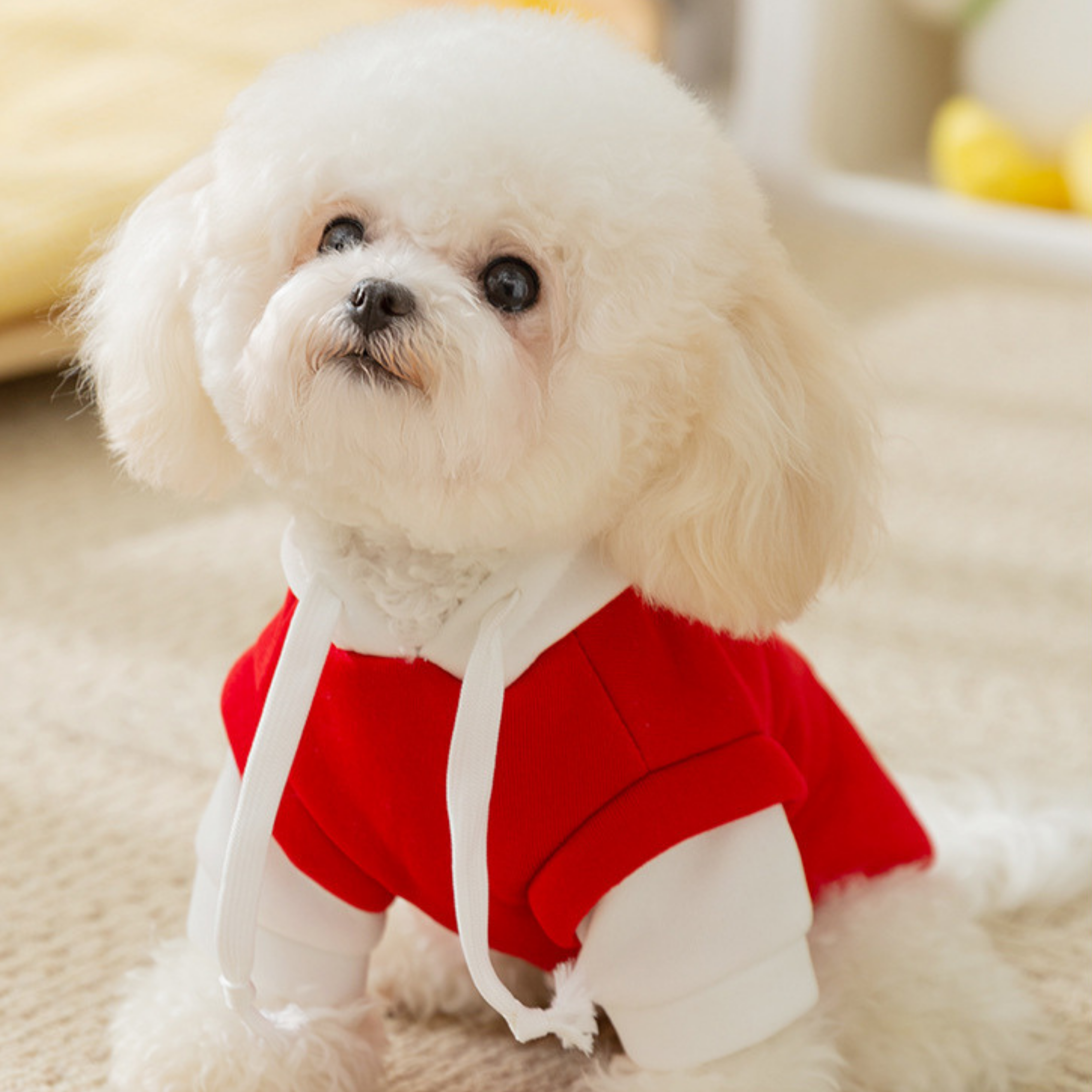 Kapüşonlu Pati Hoodie