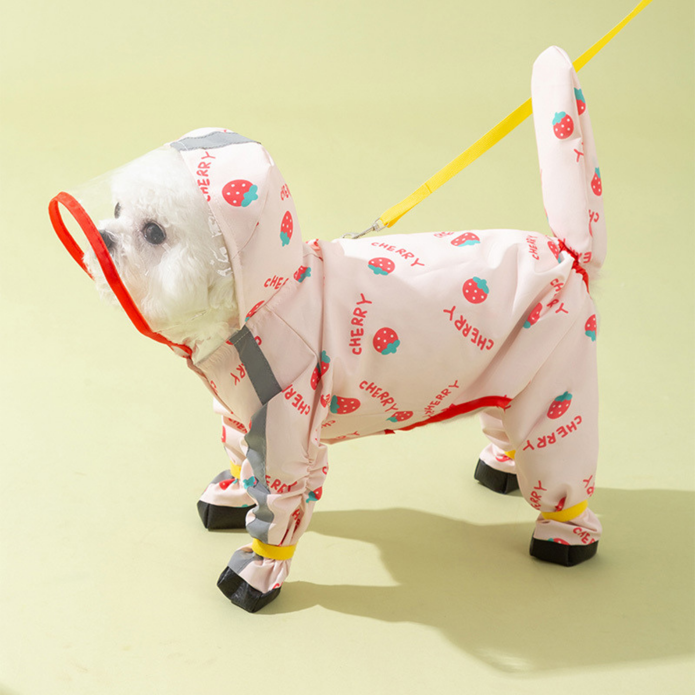 Maltipoodle Premium Yağmurluk