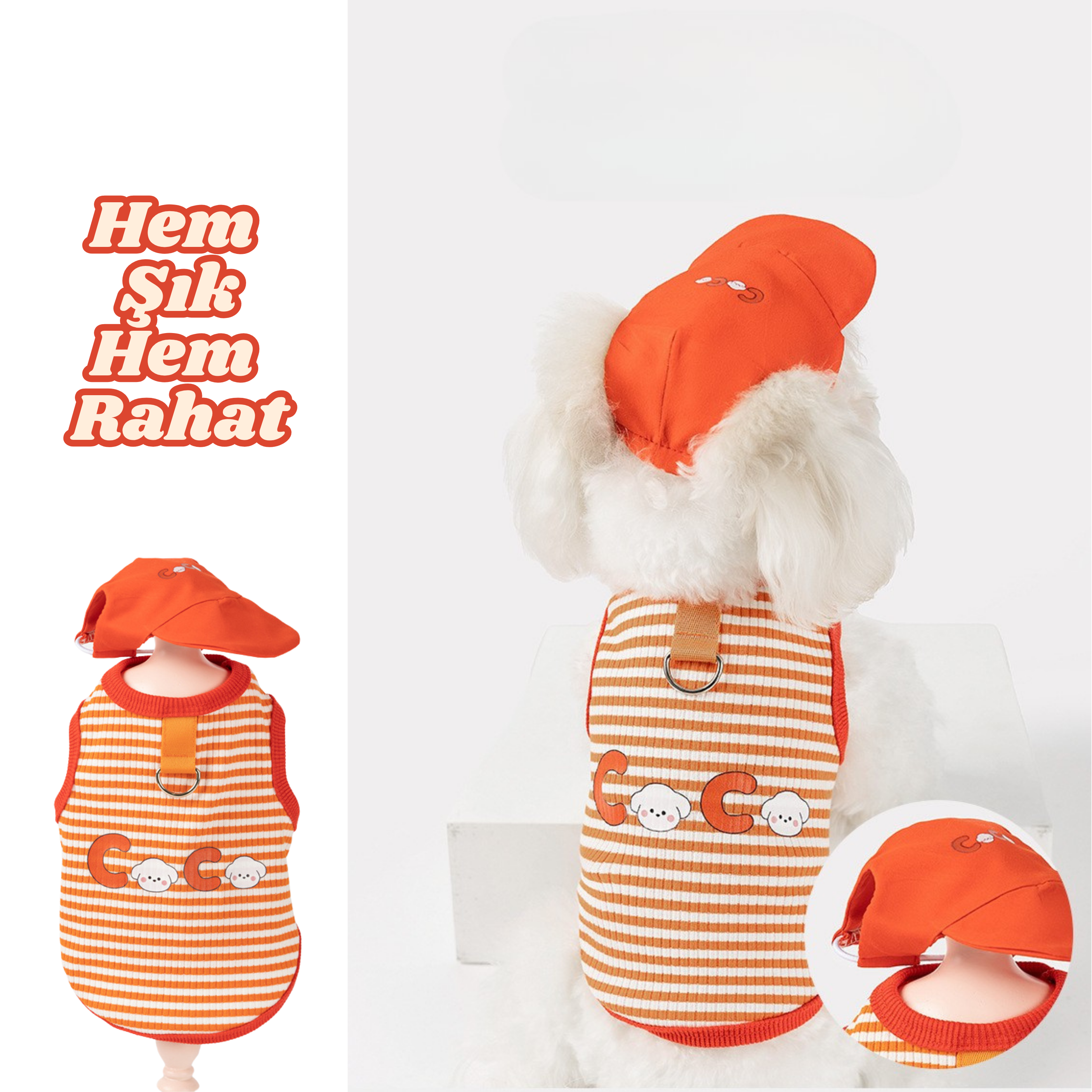 Sportif Köpek Kombini