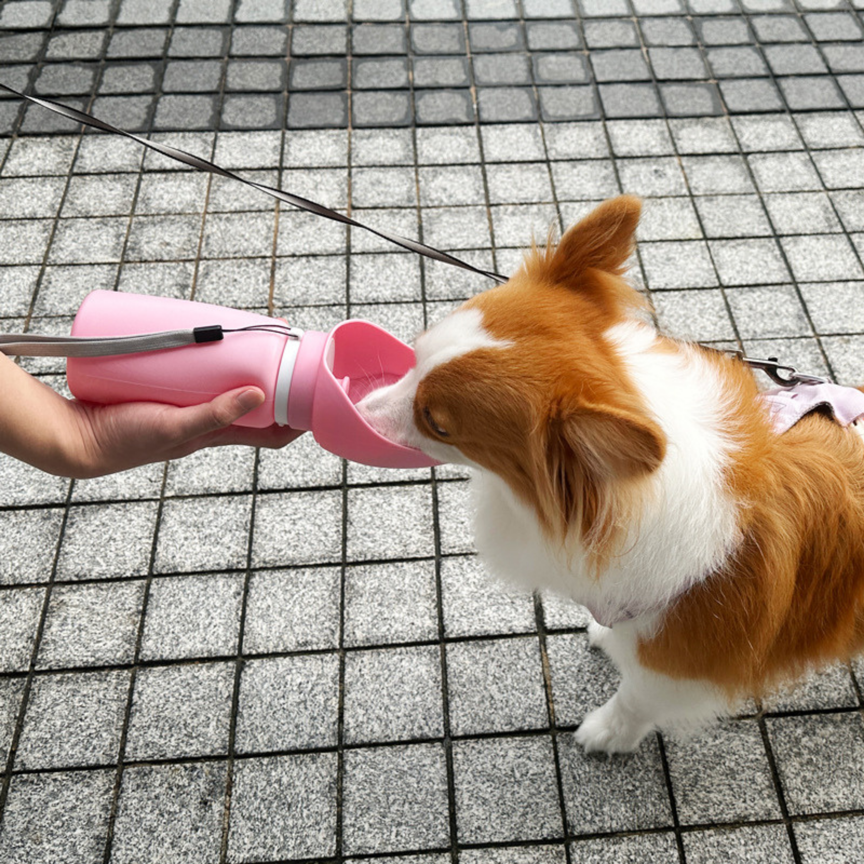 Kolay Taşınabilir Su Matarası