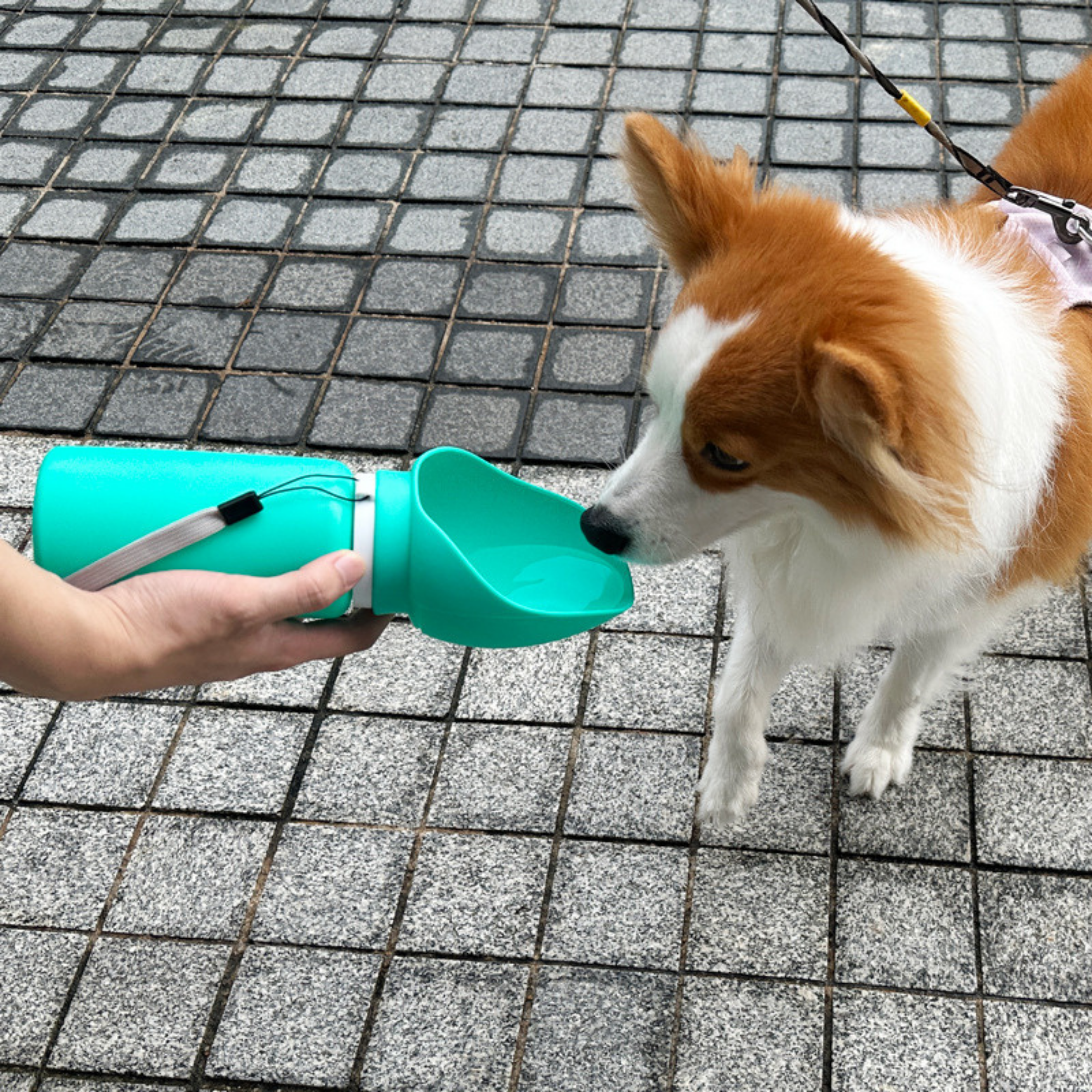 Kolay Taşınabilir Su Matarası