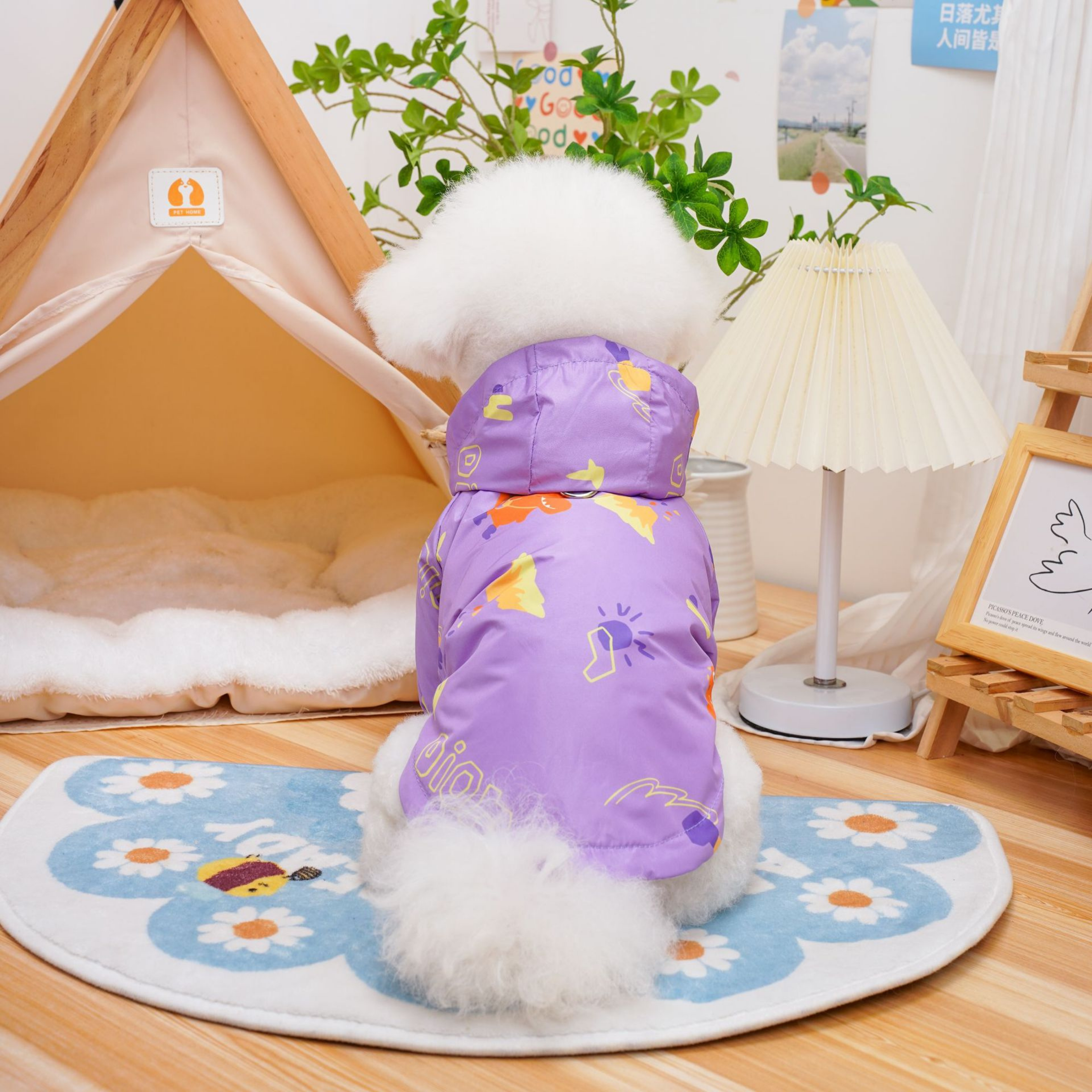 RainDay Renkli Yağmurluk Takımı