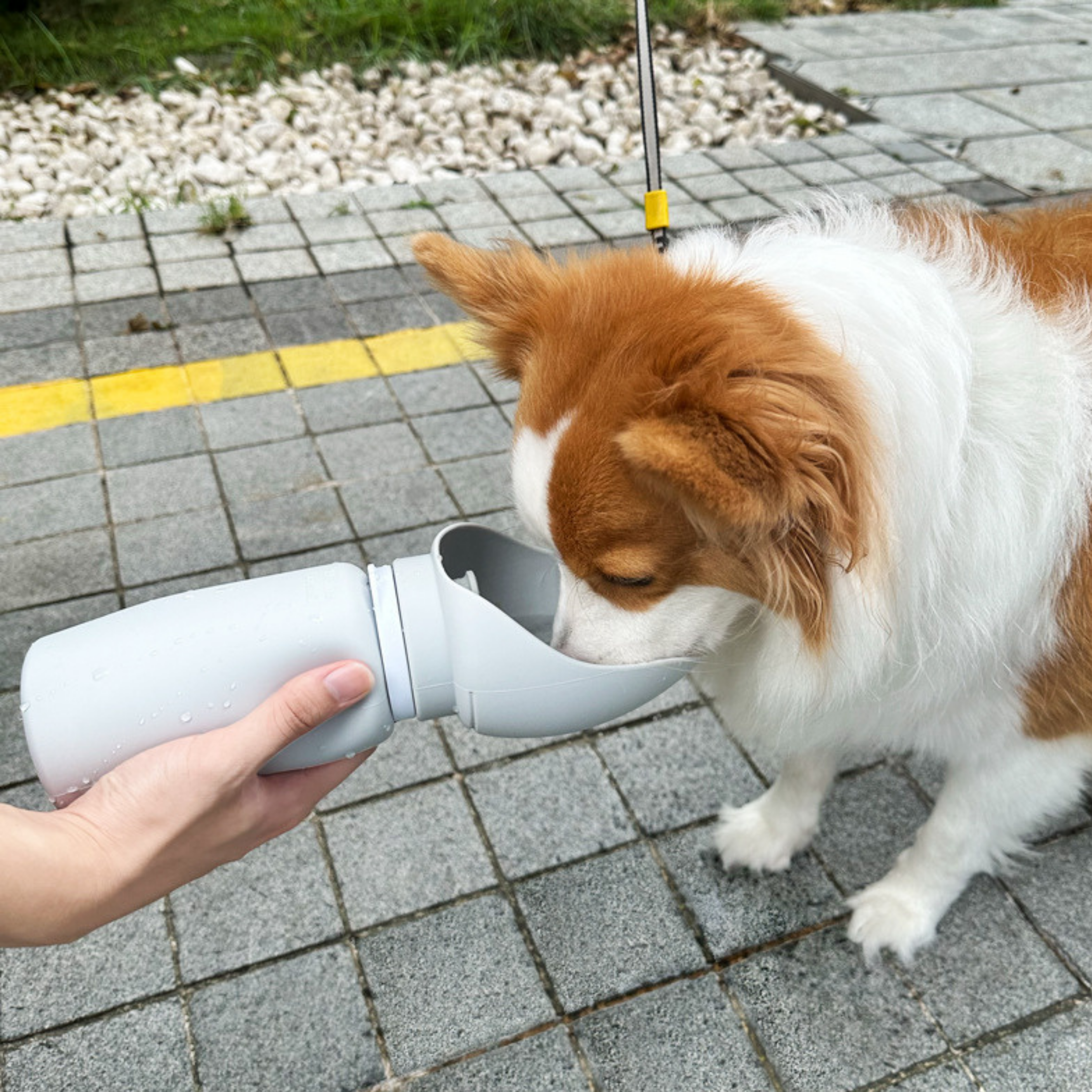 Kolay Taşınabilir Su Matarası