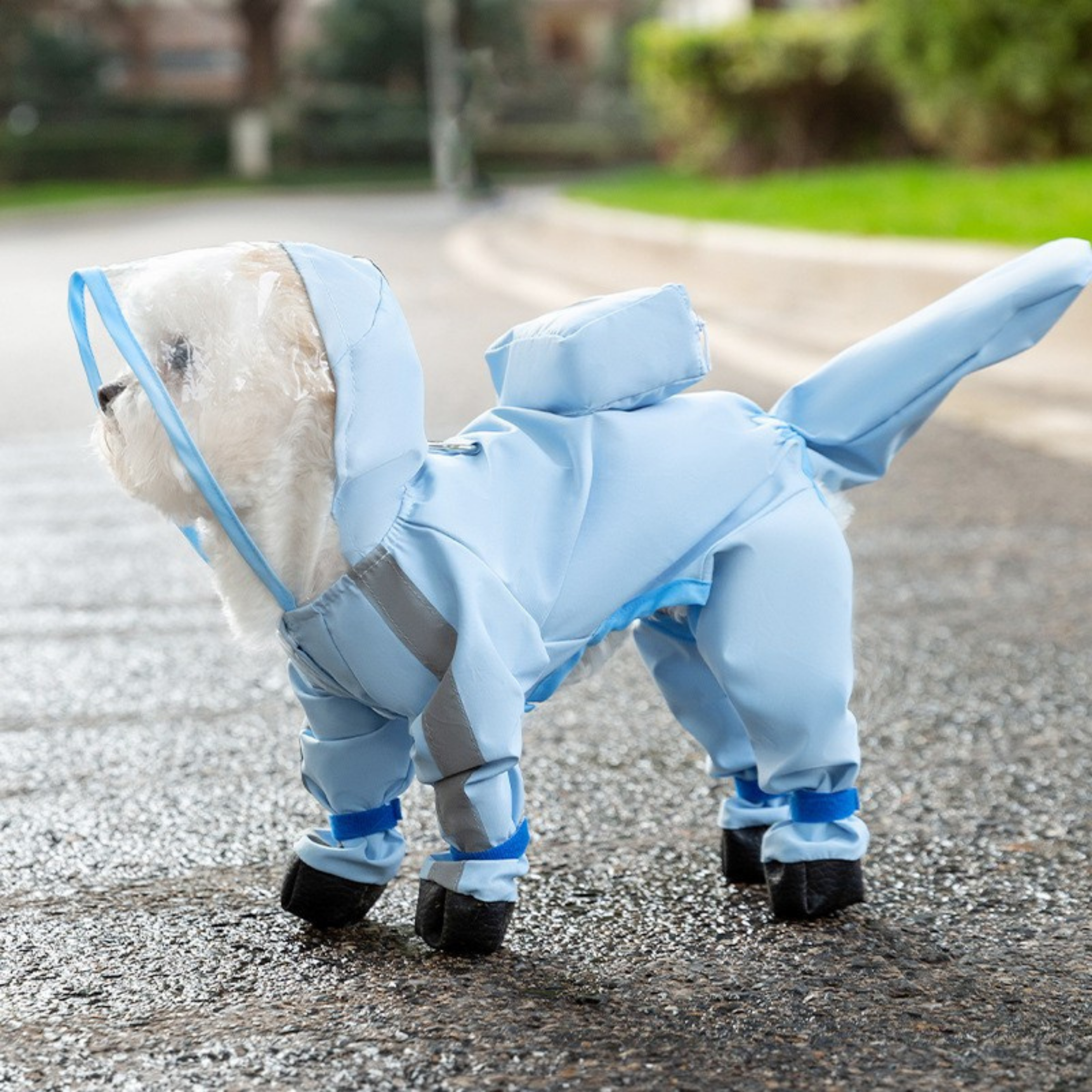 Köpek Gezdirme Yağmurluğu