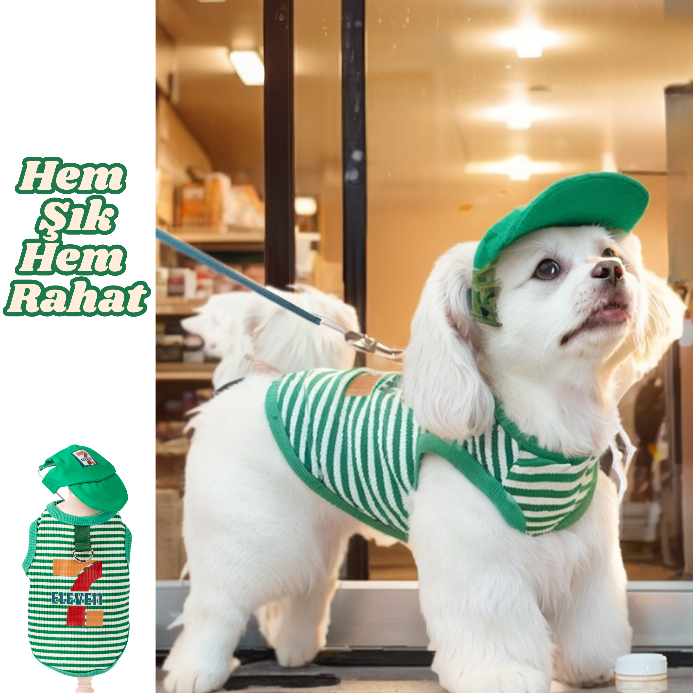 Sportif Köpek Kombini