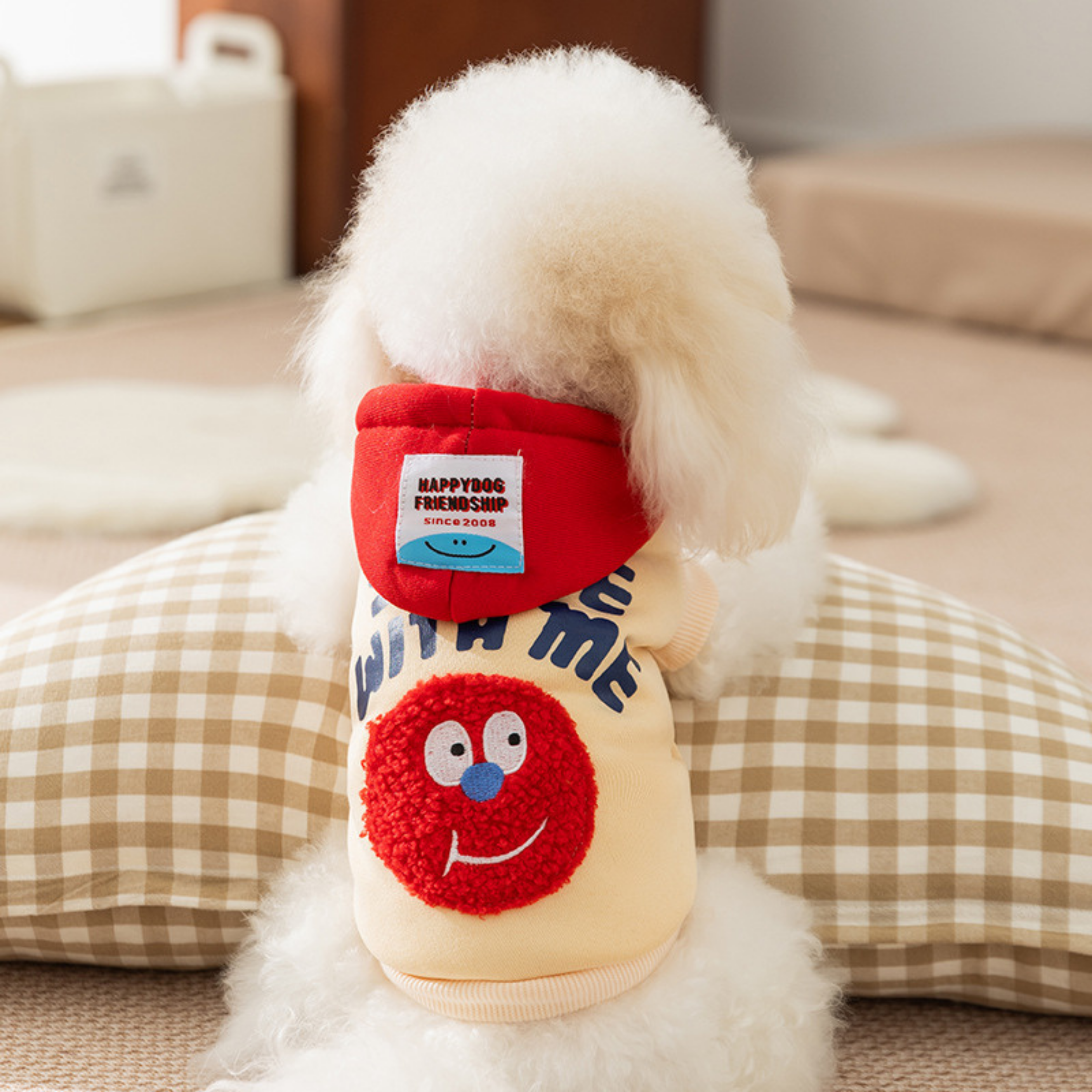 Maltipoodle