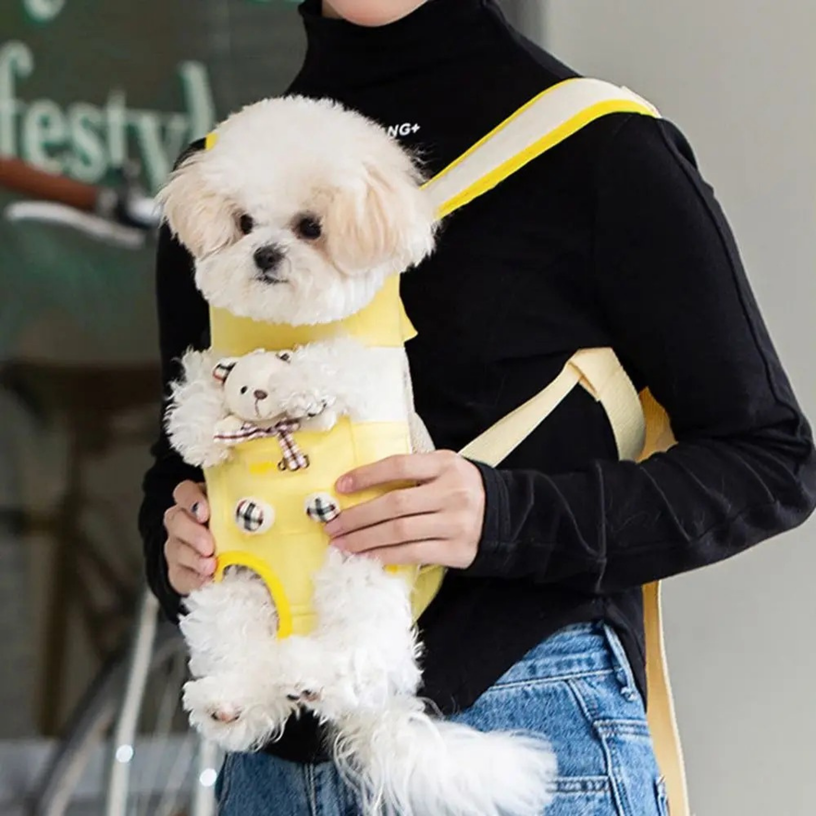 Ayıcıklı Evcil Hayvan Taşıma Çantası