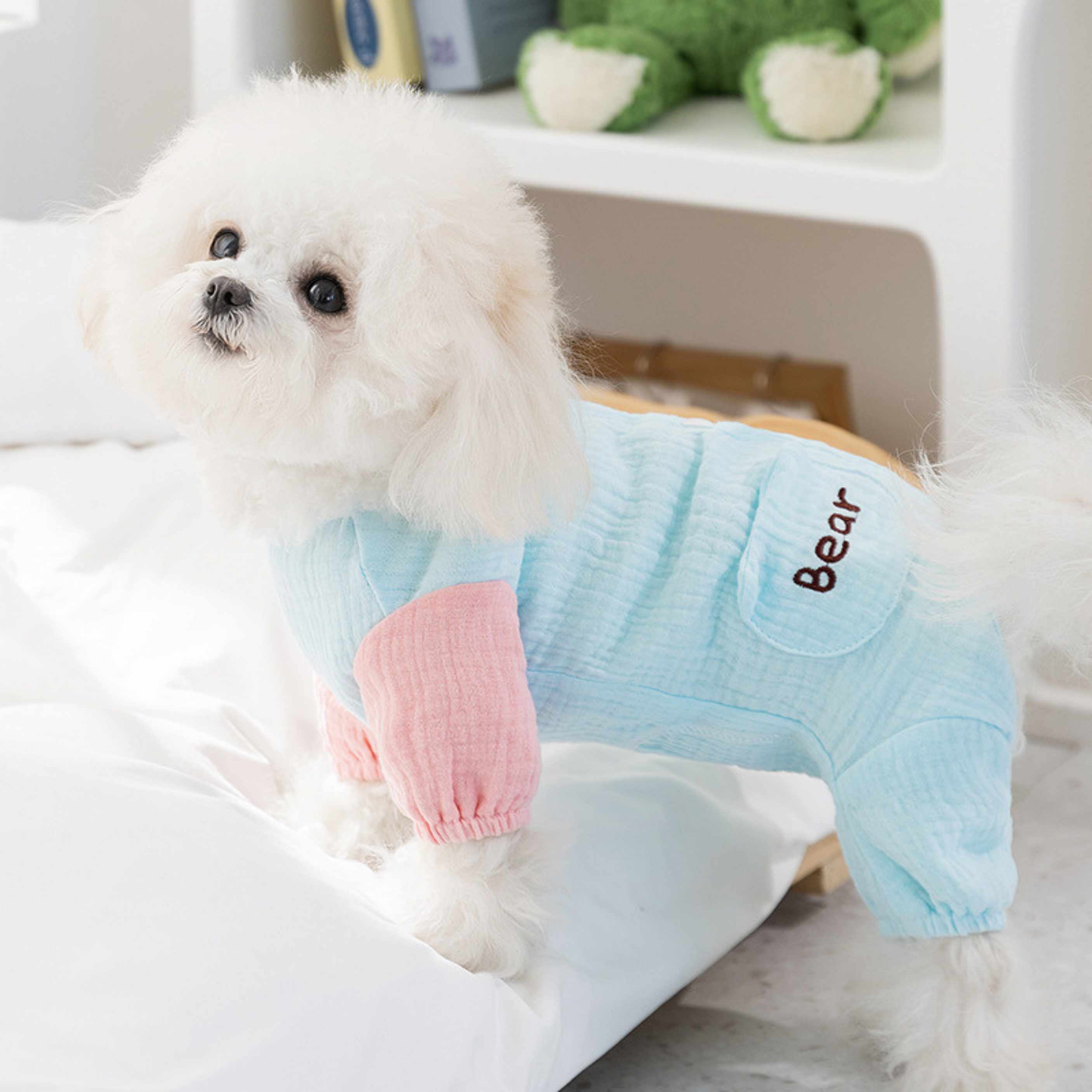 Maltipoodle