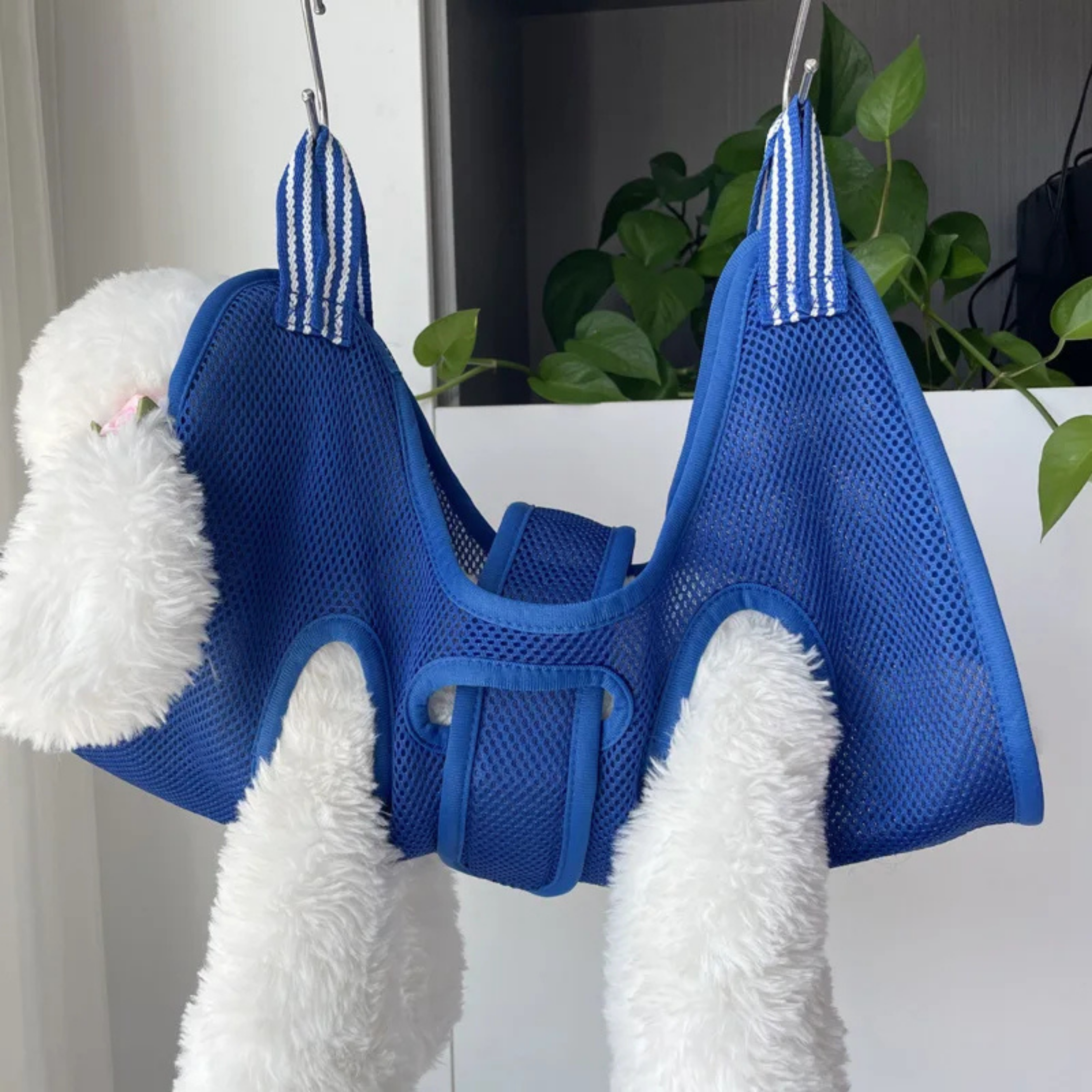 Köpek Bakım Askısı