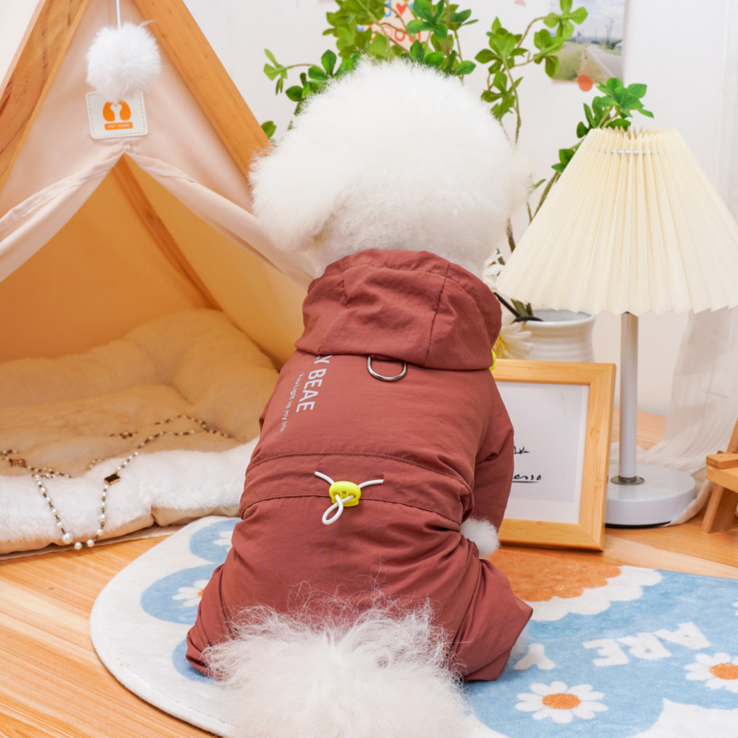 SafeStep Köpek Parkası