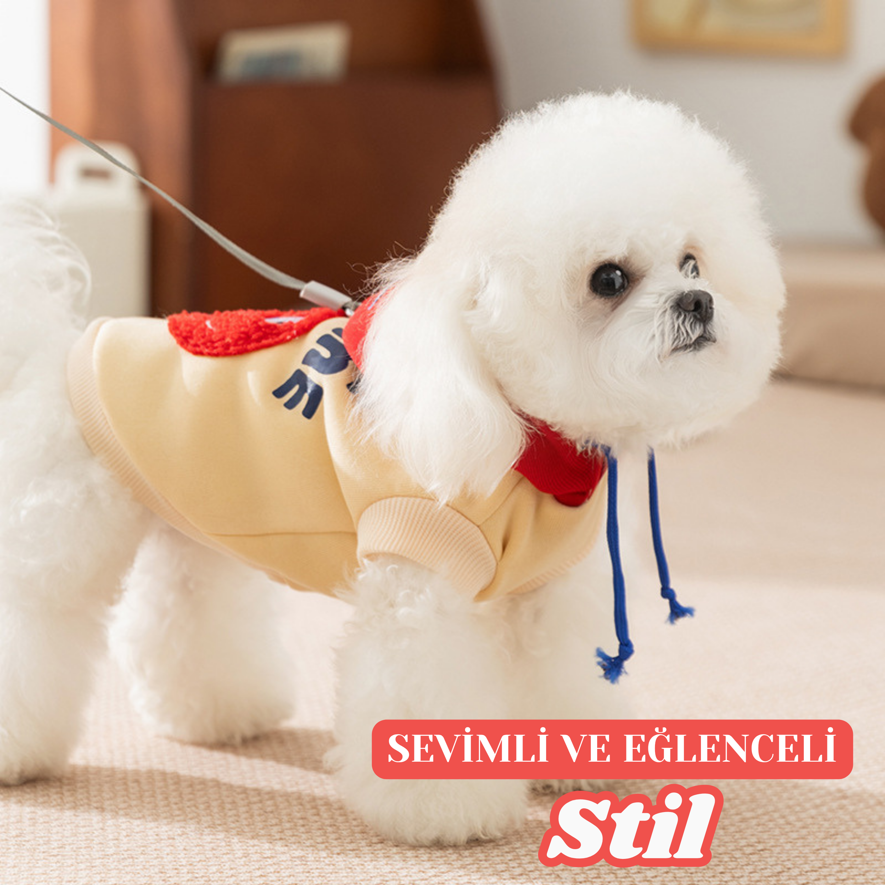 HappyDog Kapüşonlu Sweat