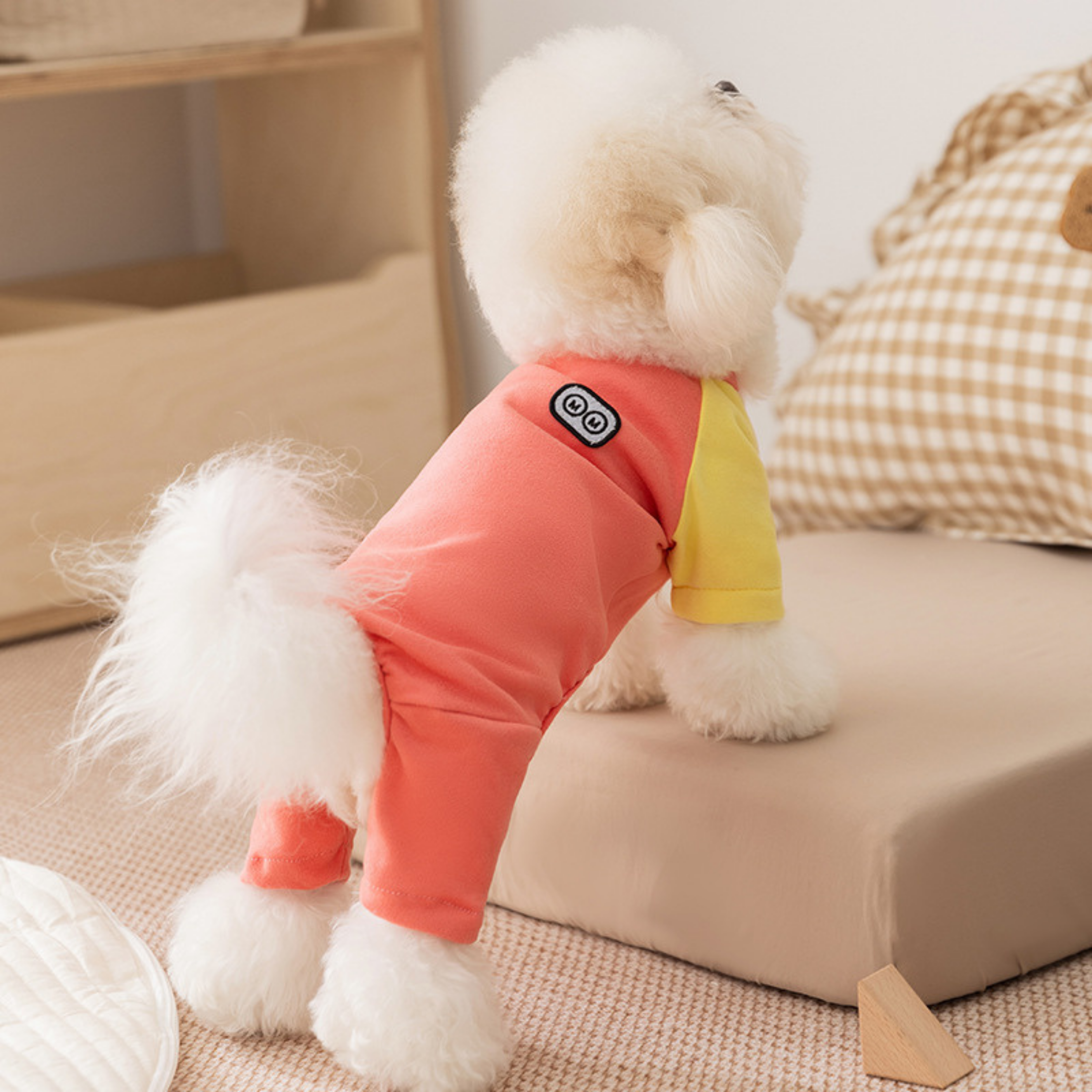 Maltipoodle