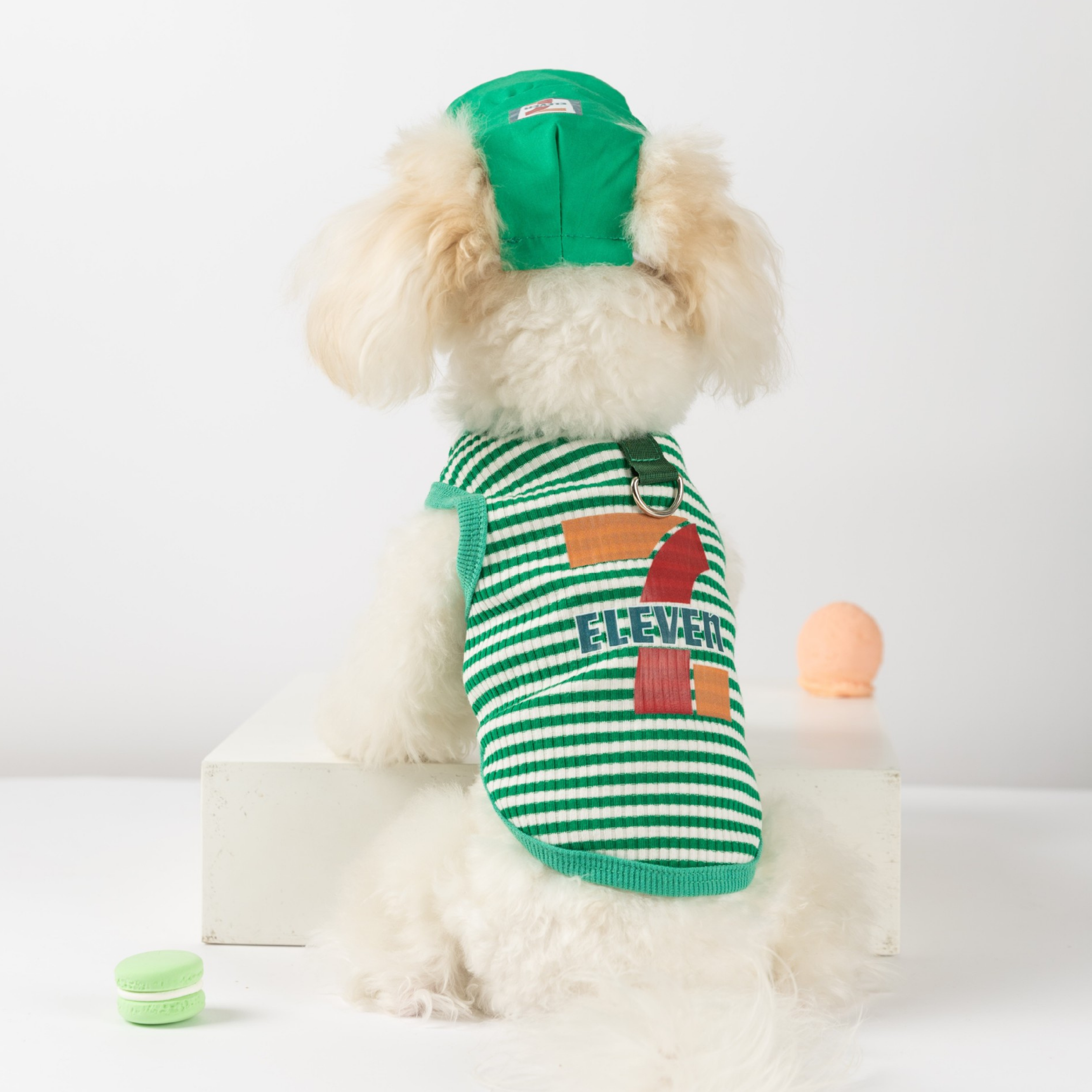 Sportif Köpek Kombini