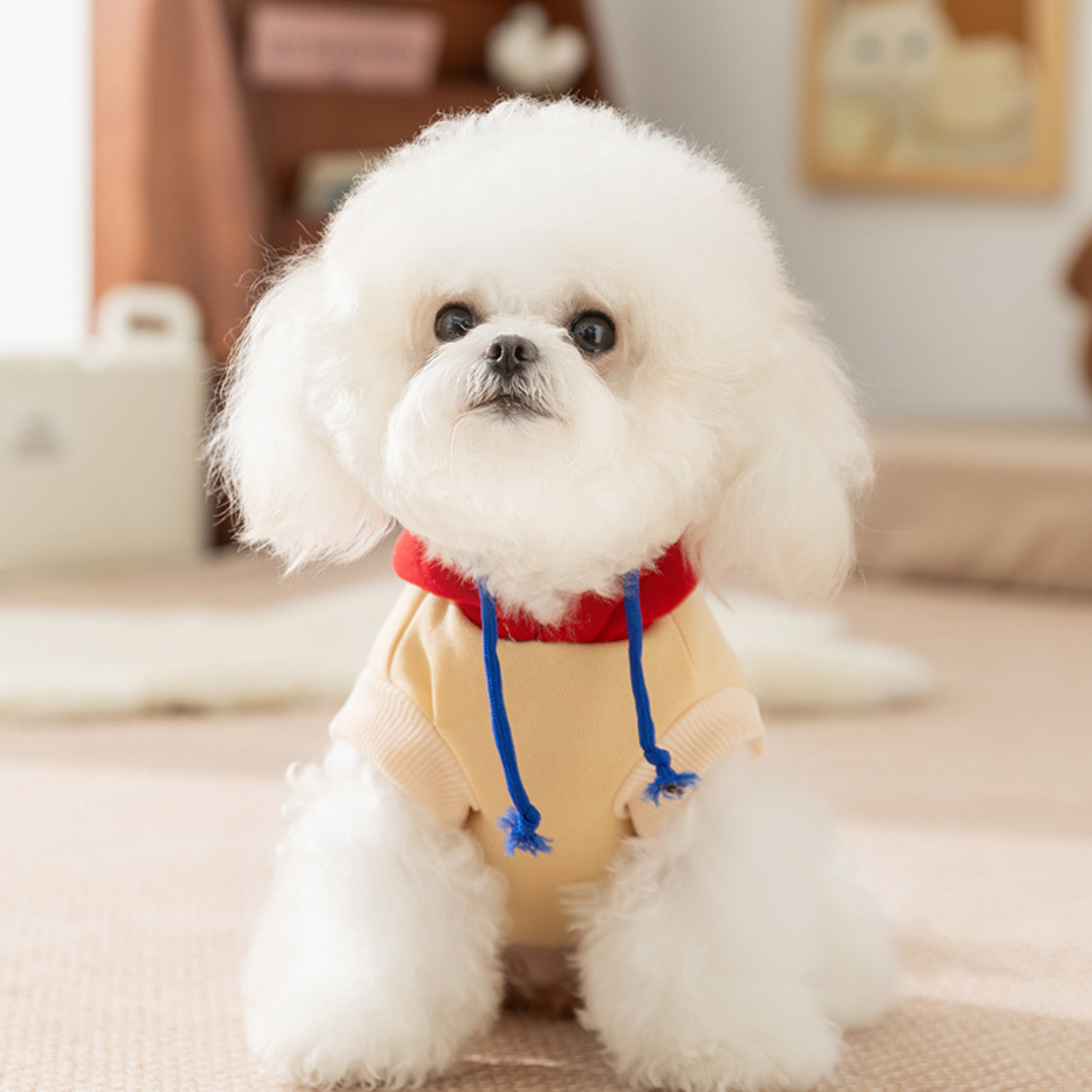 HappyDog Kapüşonlu Sweat