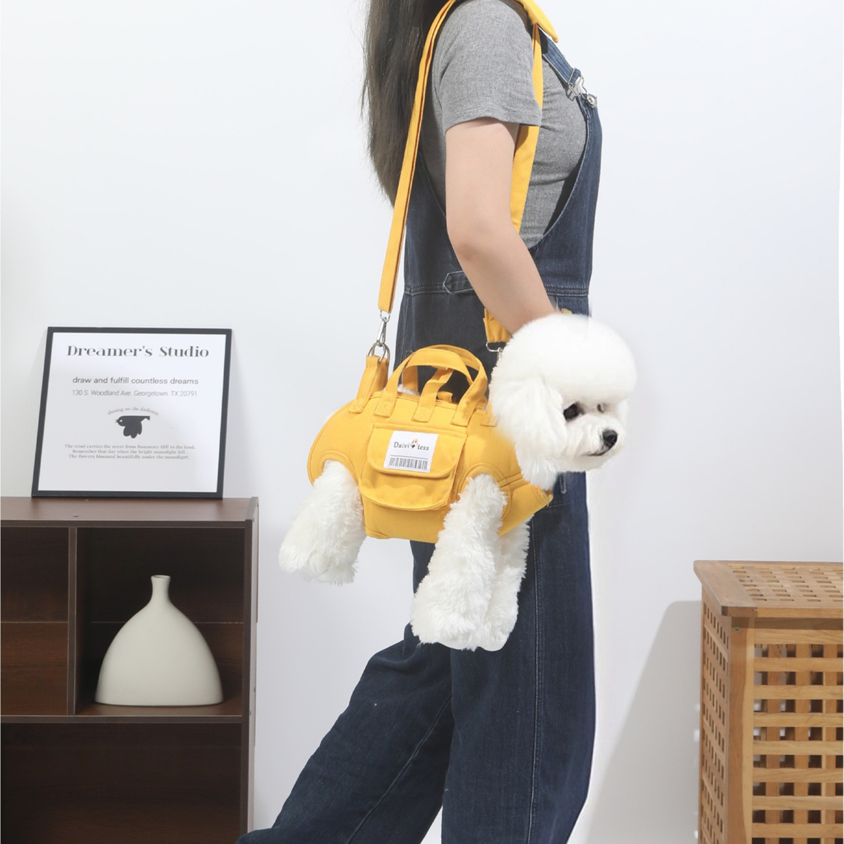 Maltipoodle