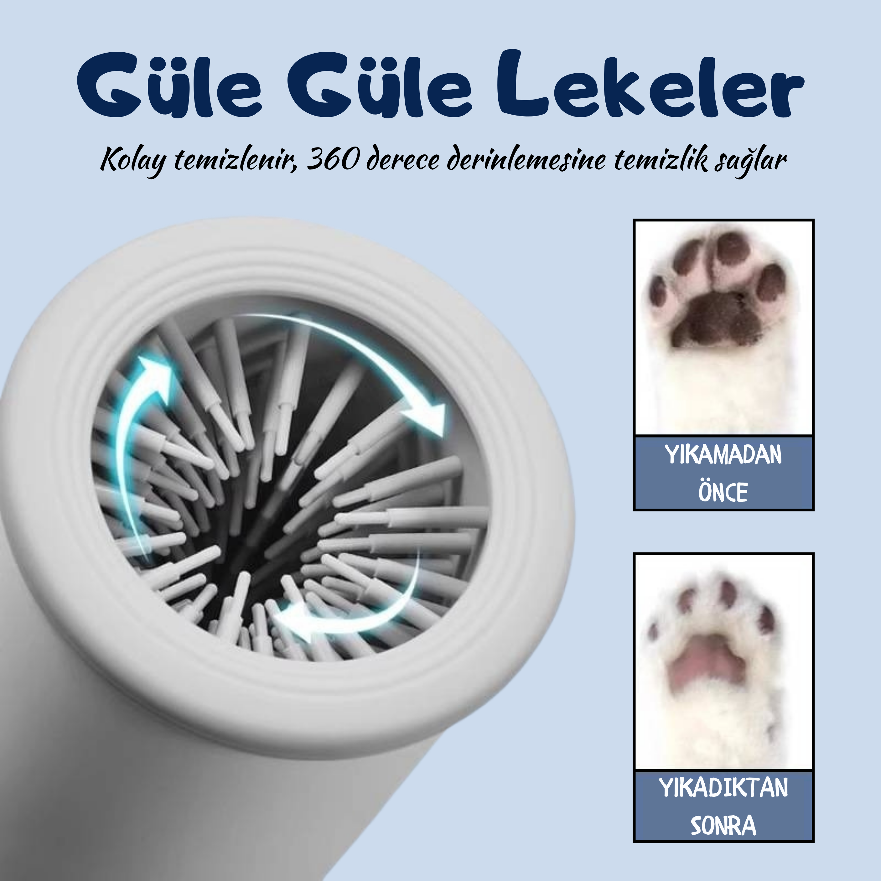 Maltipoodle