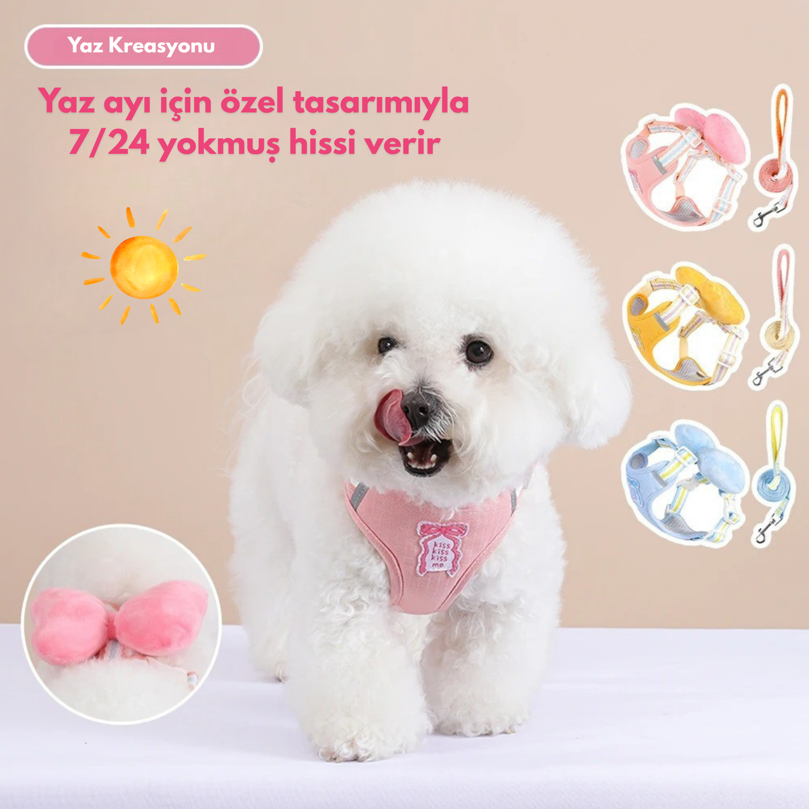 Maltipoodle
