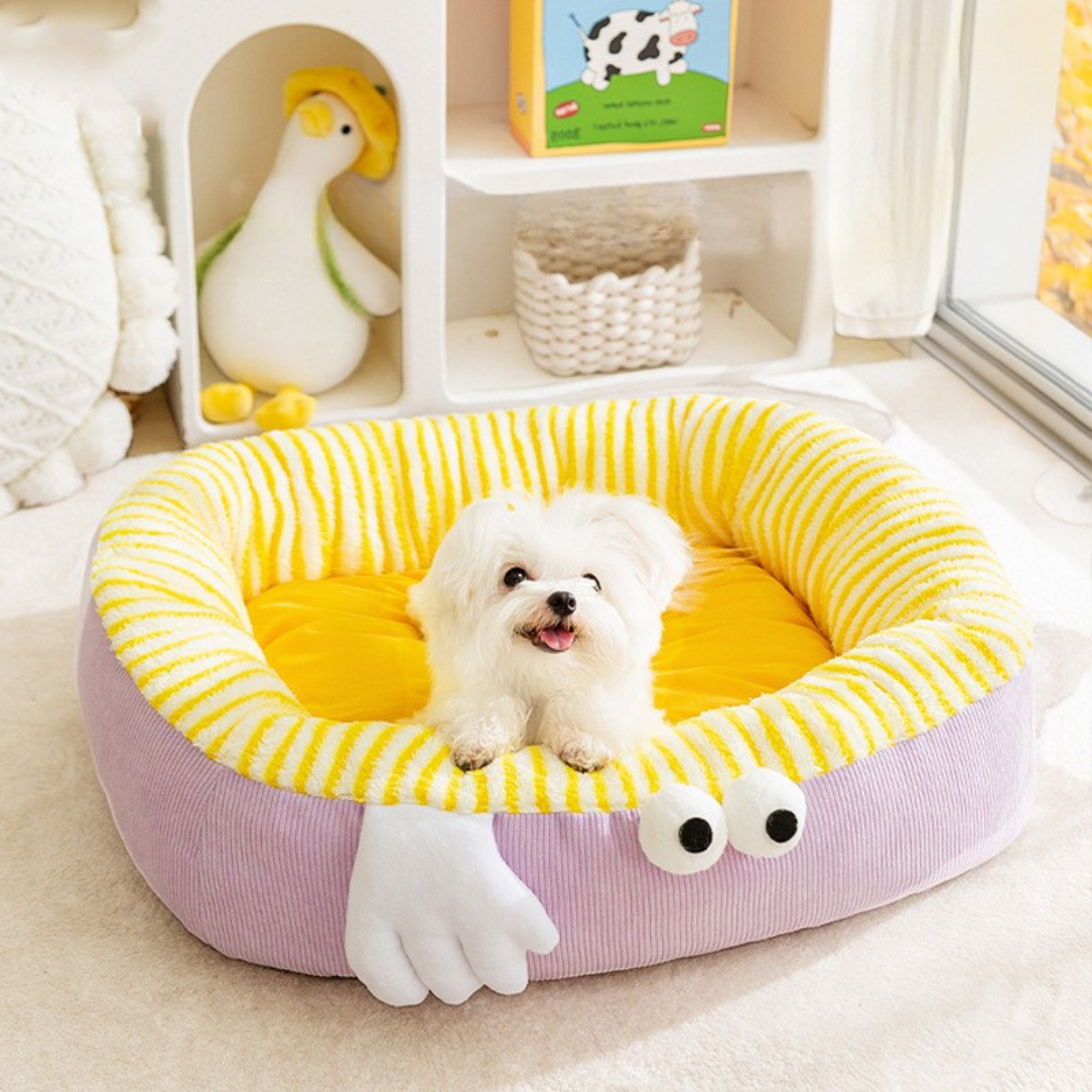 Maltipoodle