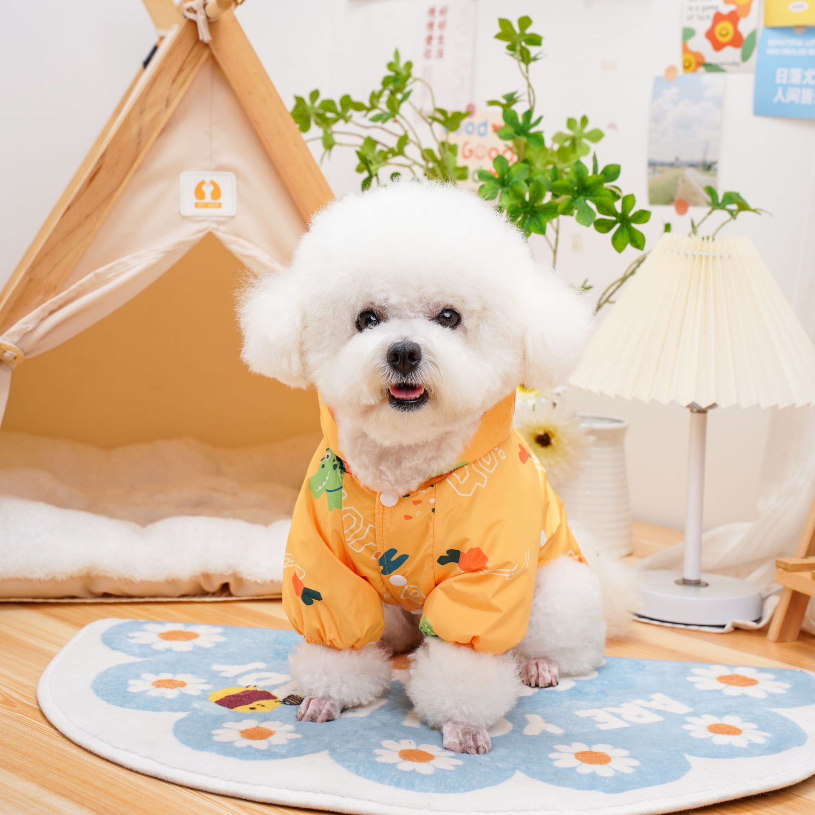 RainDay Renkli Yağmurluk Takımı