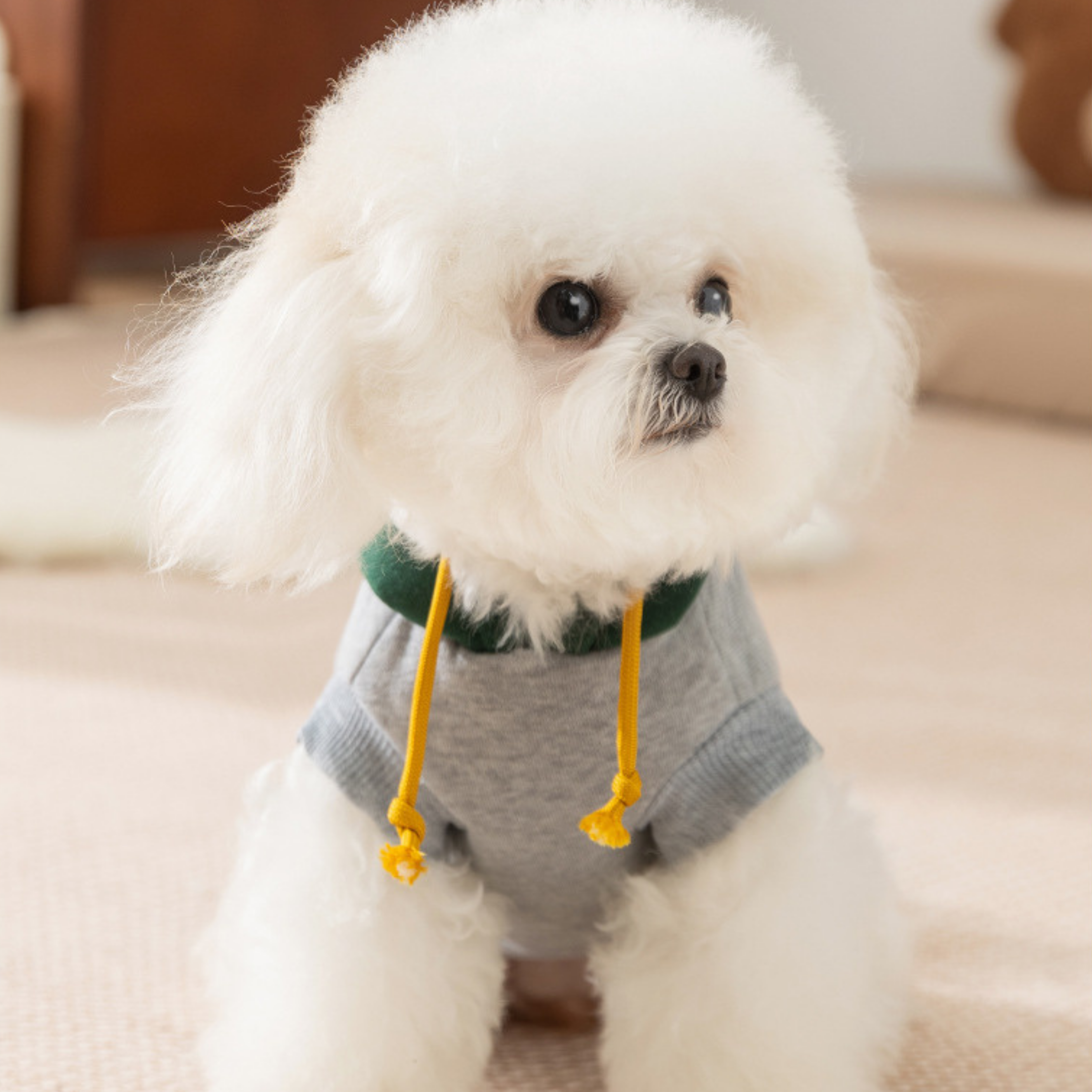 HappyDog Kapüşonlu Sweat