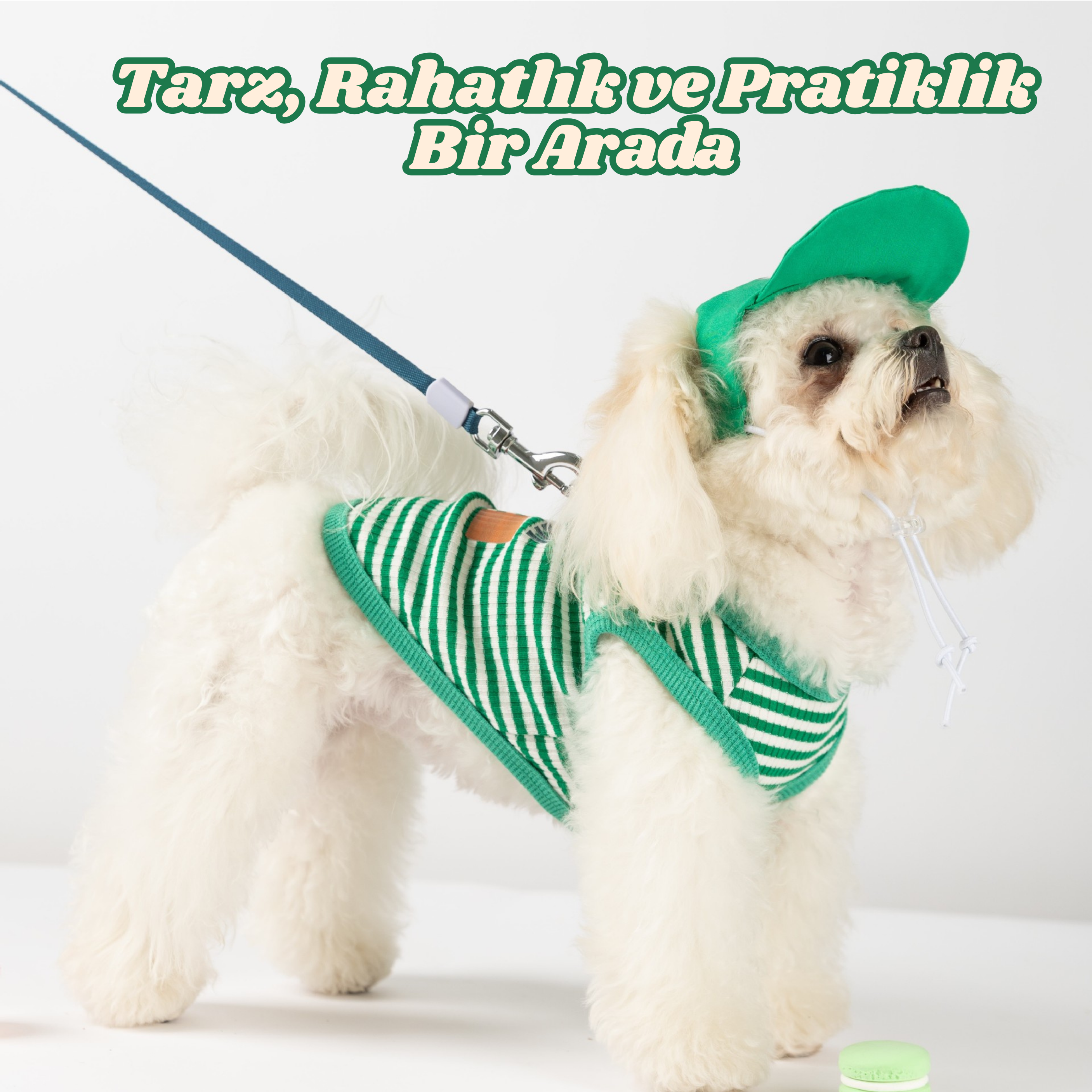 Sportif Köpek Kombini