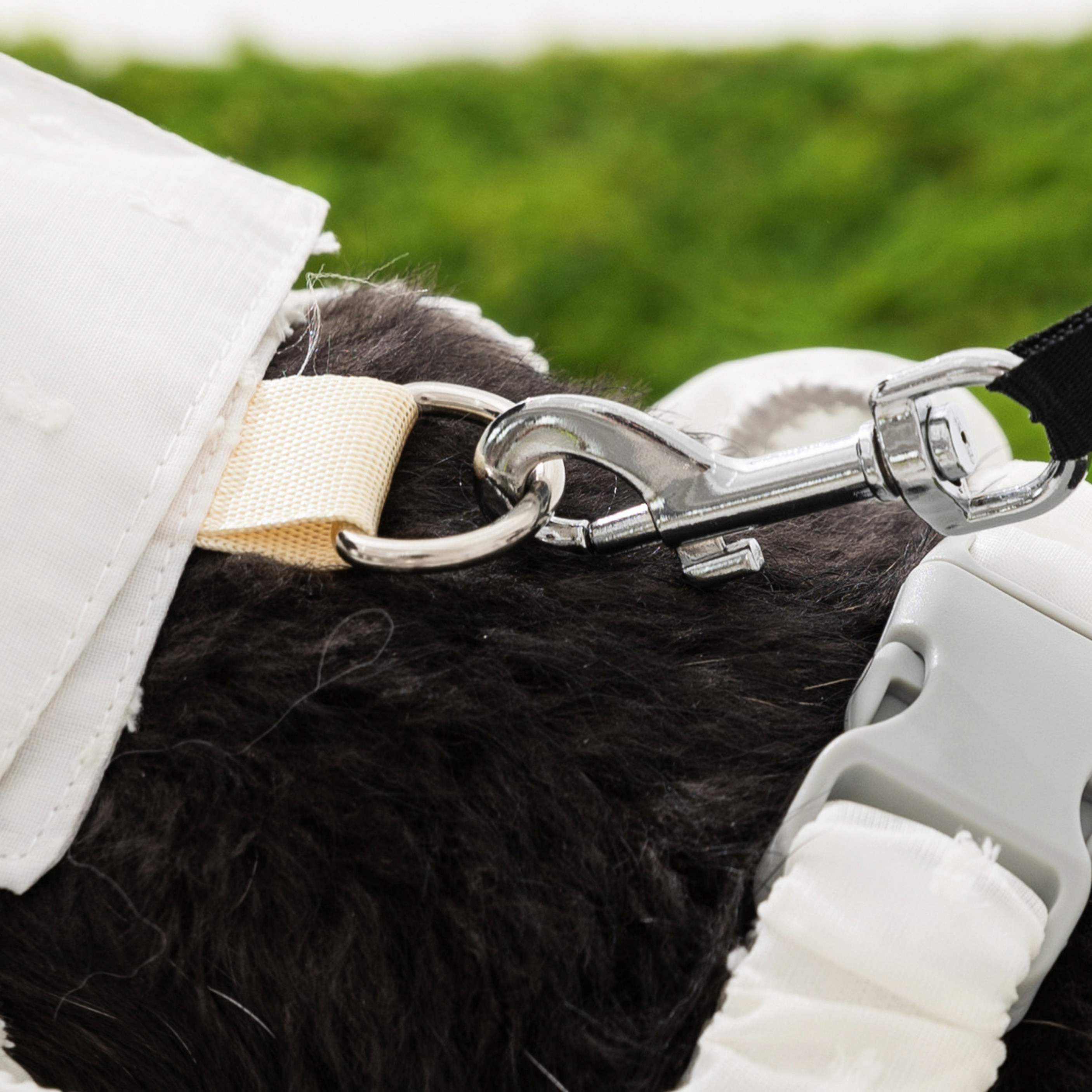 Easypaw Kirlenme Karşıtı Tulum