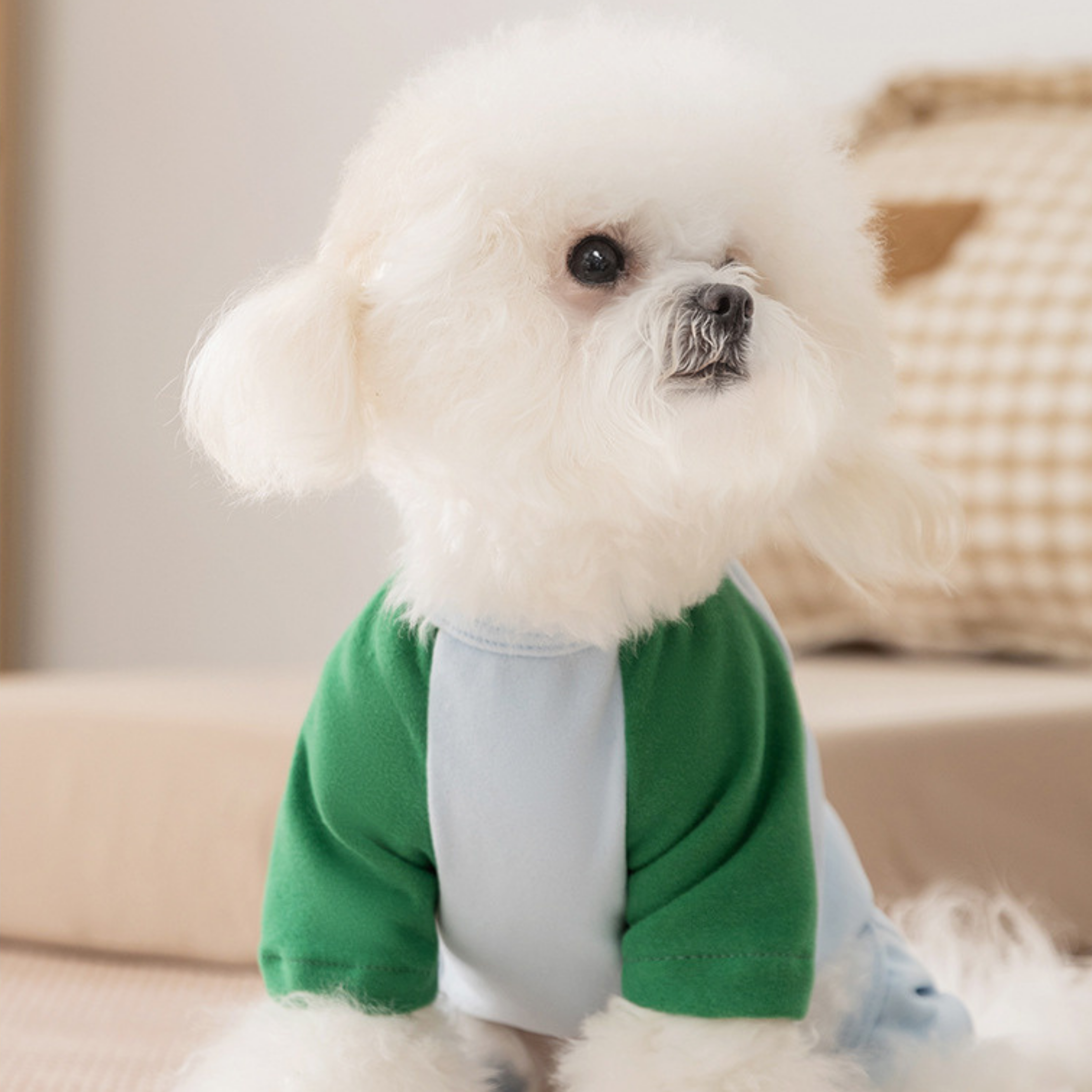 MiniMood Köpek Kıyafeti