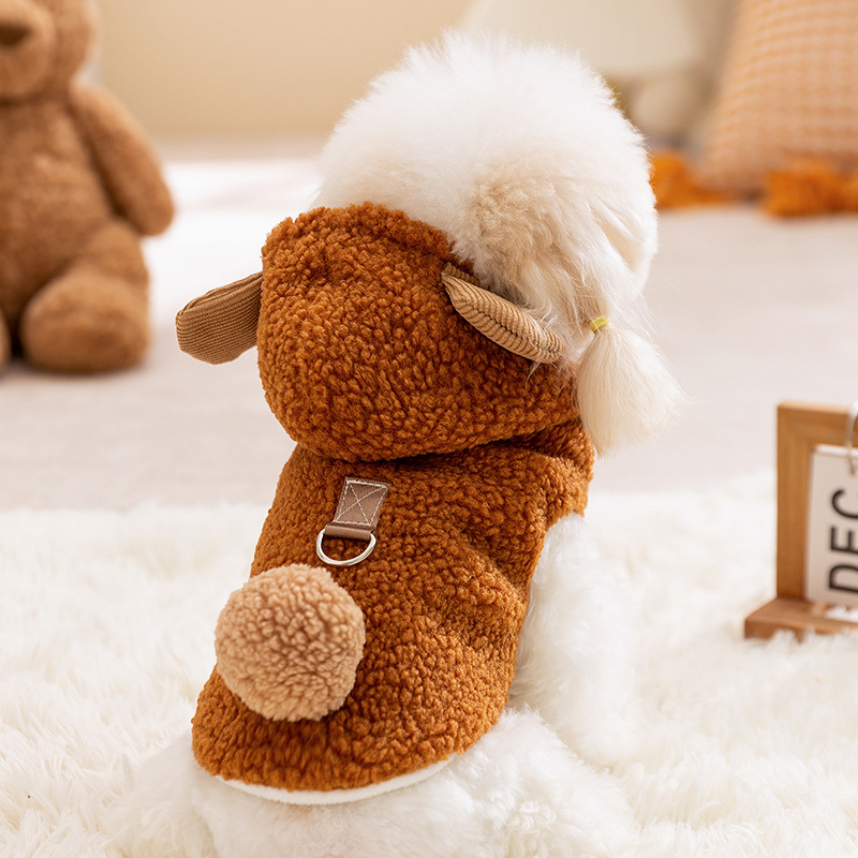 Maltipoodle