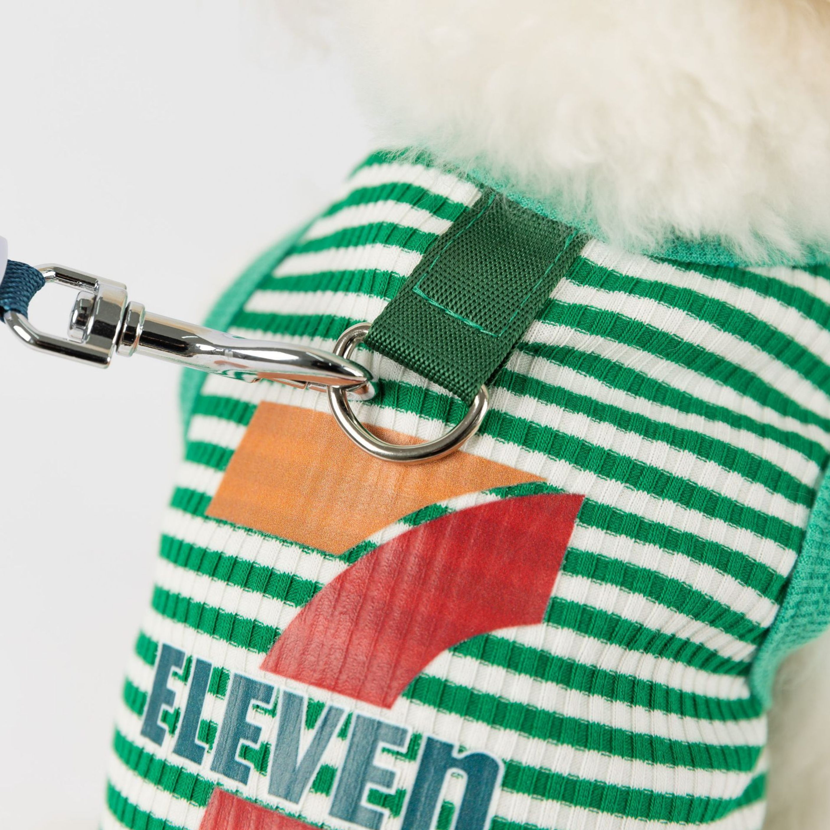 Sportif Köpek Kombini