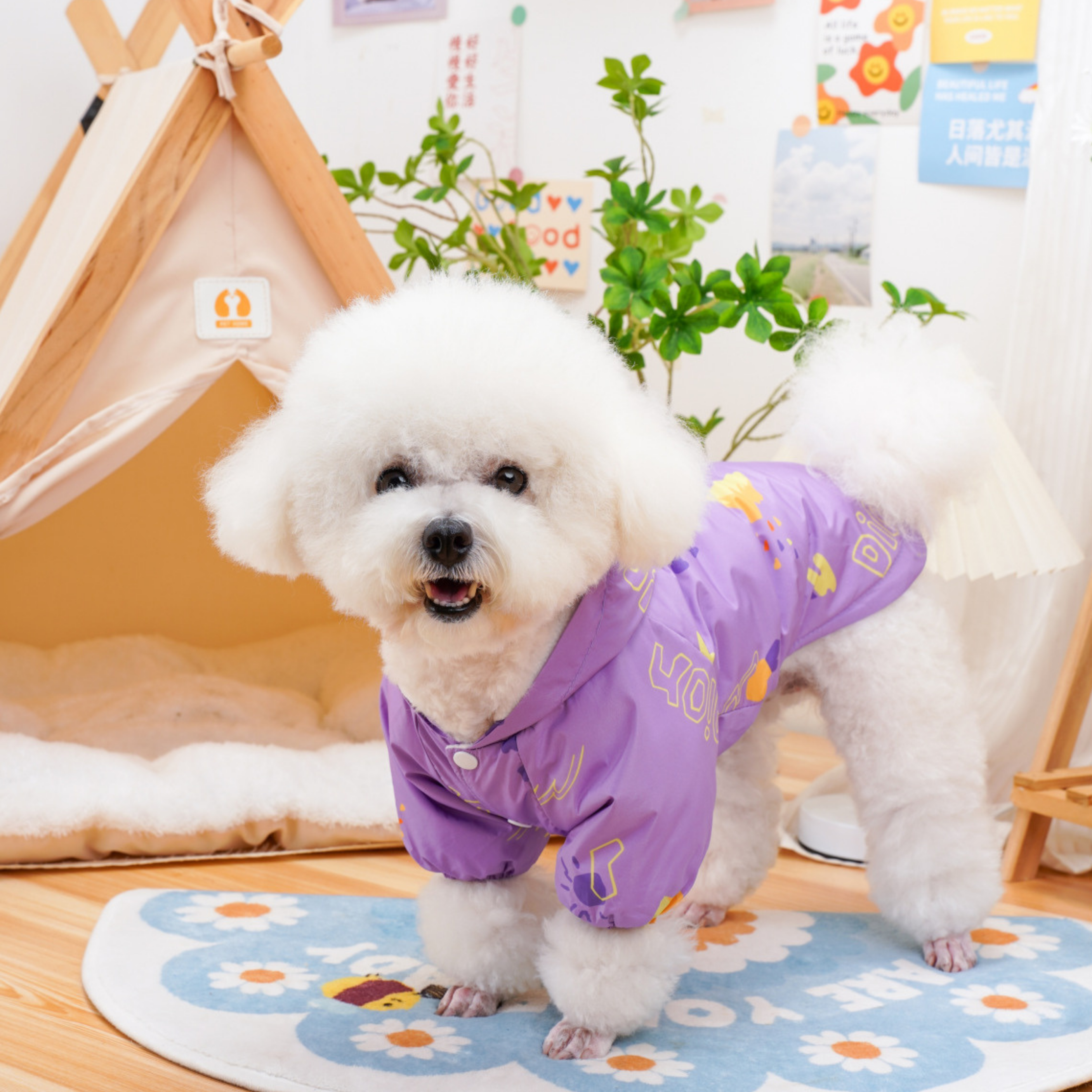 RainDay Renkli Yağmurluk Takımı