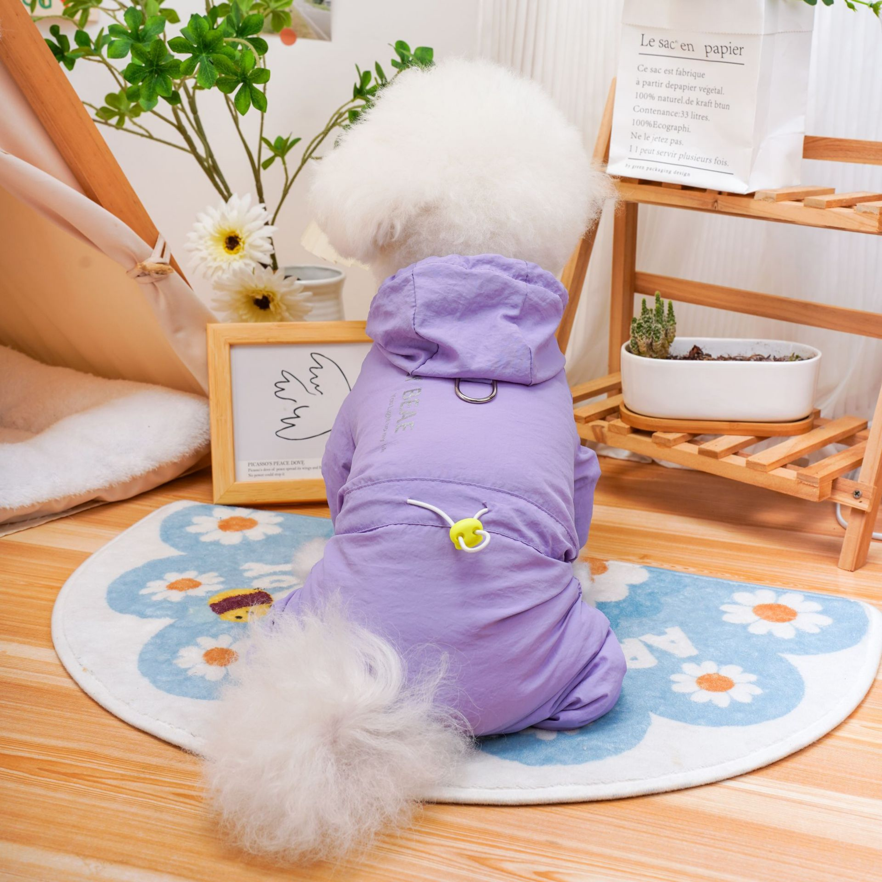 SafeStep Köpek Parkası