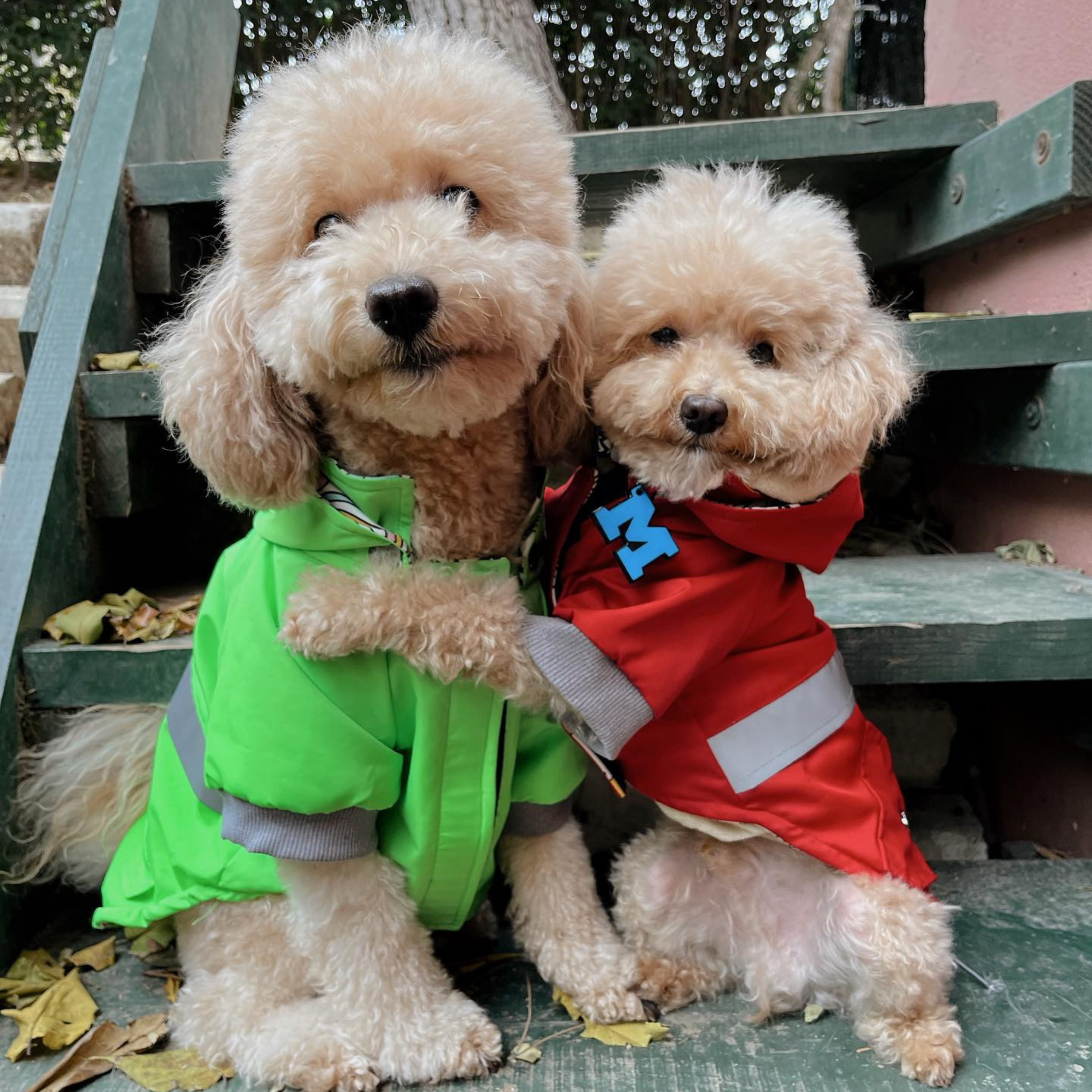 HappyWalk Köpek Gezdirme Yağmurluğu