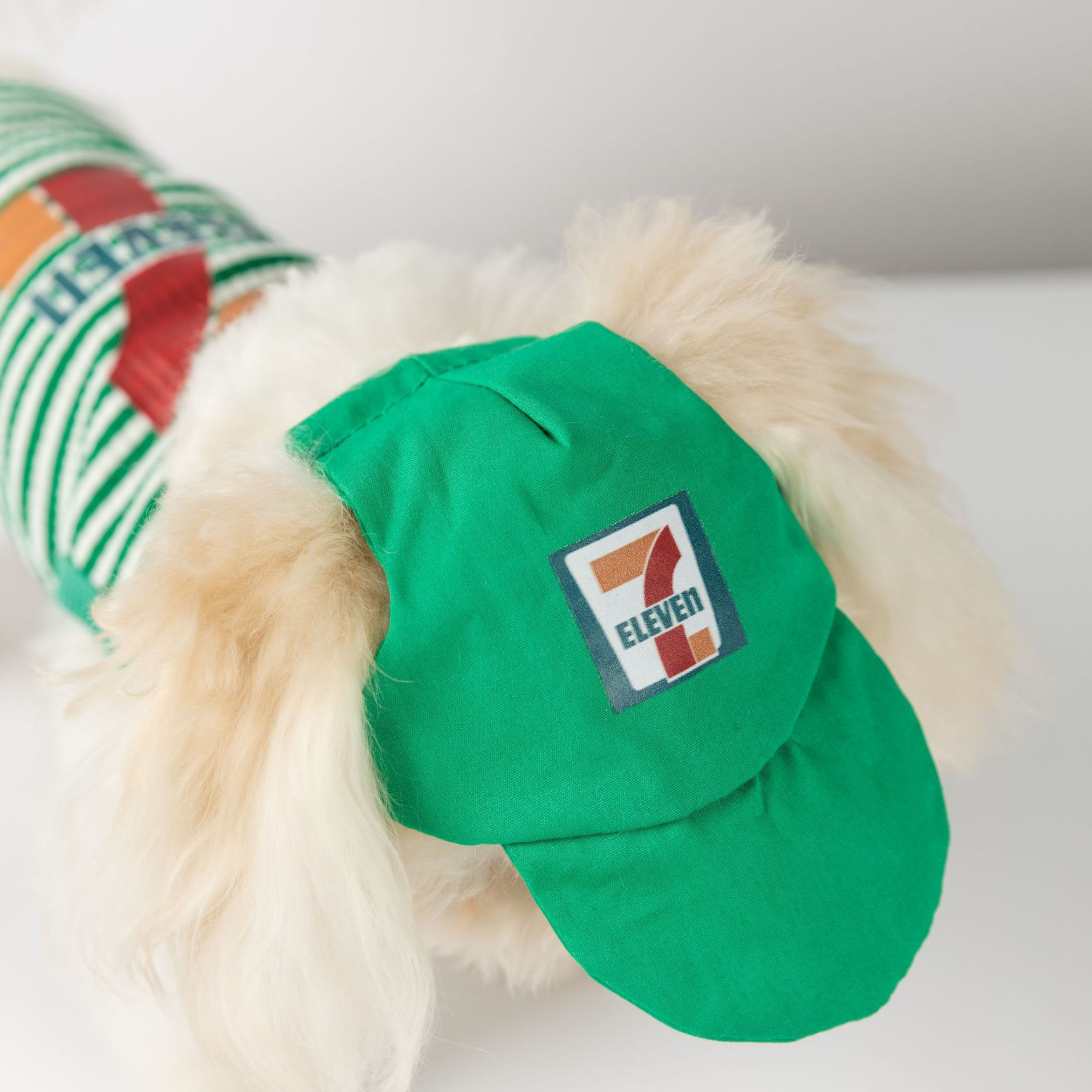 Sportif Köpek Kombini