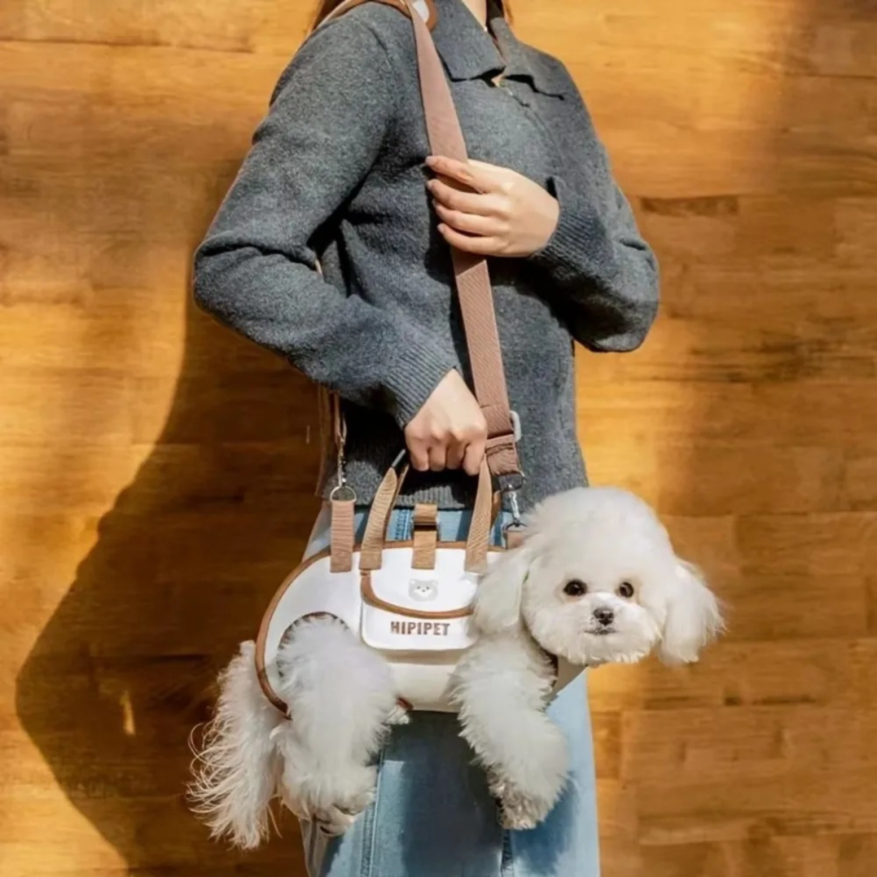Maltipoodle