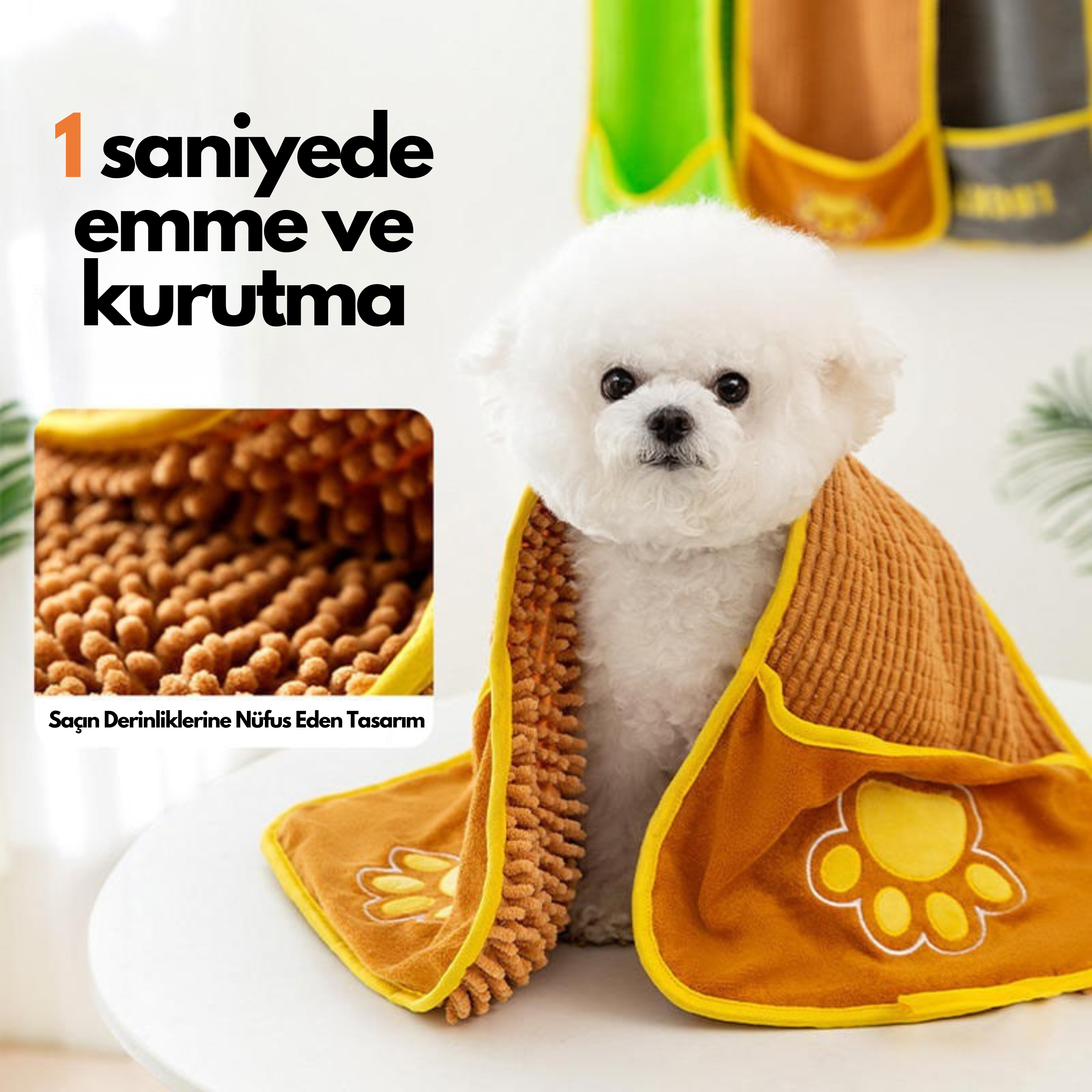 Maltipoodle