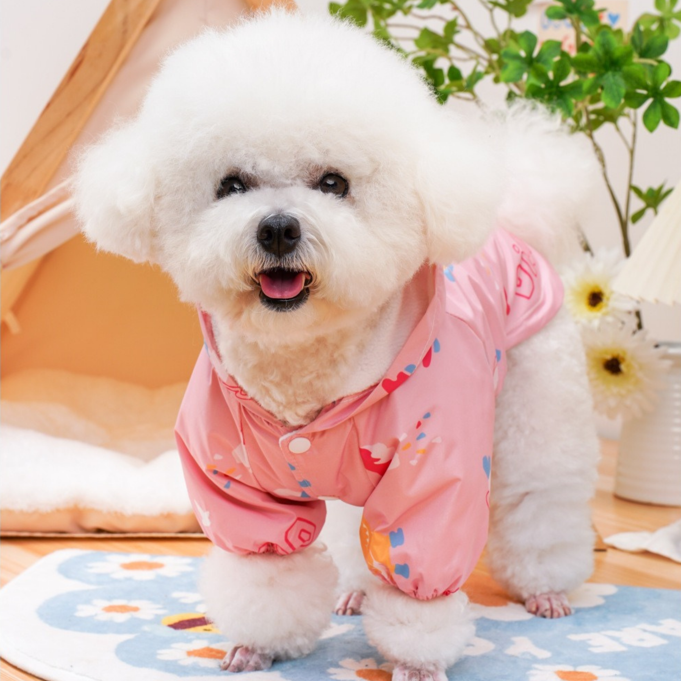 RainDay Renkli Yağmurluk Takımı