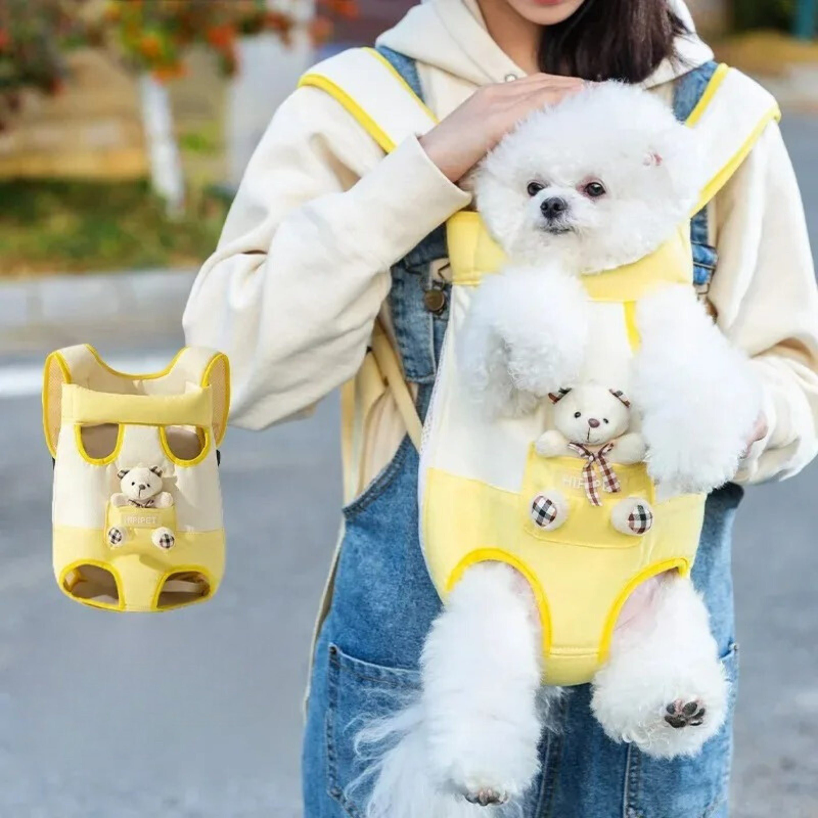 Maltipoodle