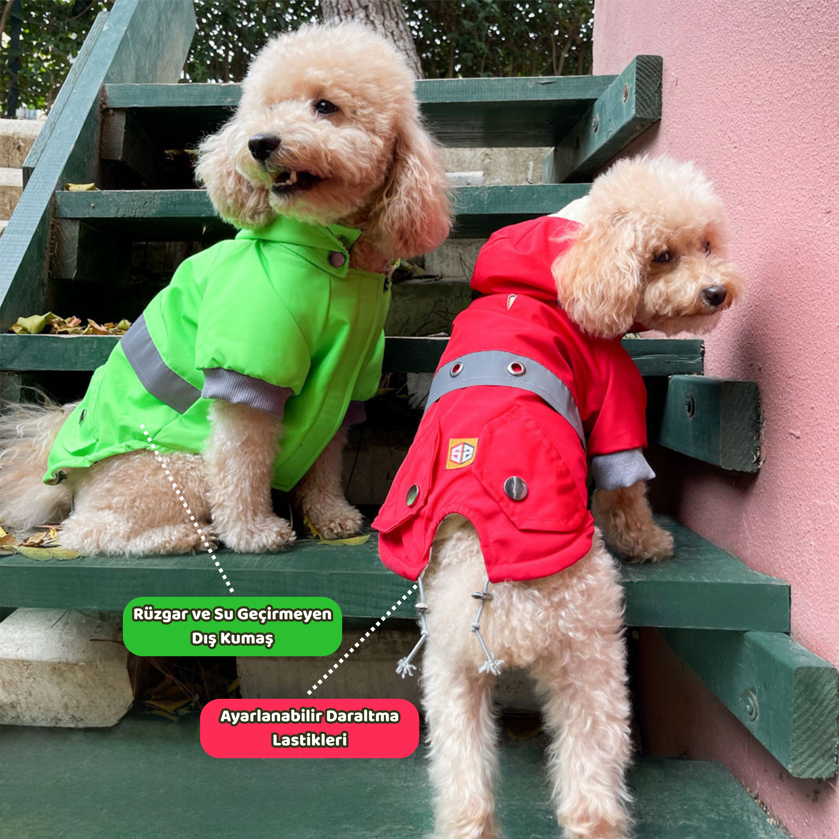 HappyWalk Köpek Gezdirme Yağmurluğu