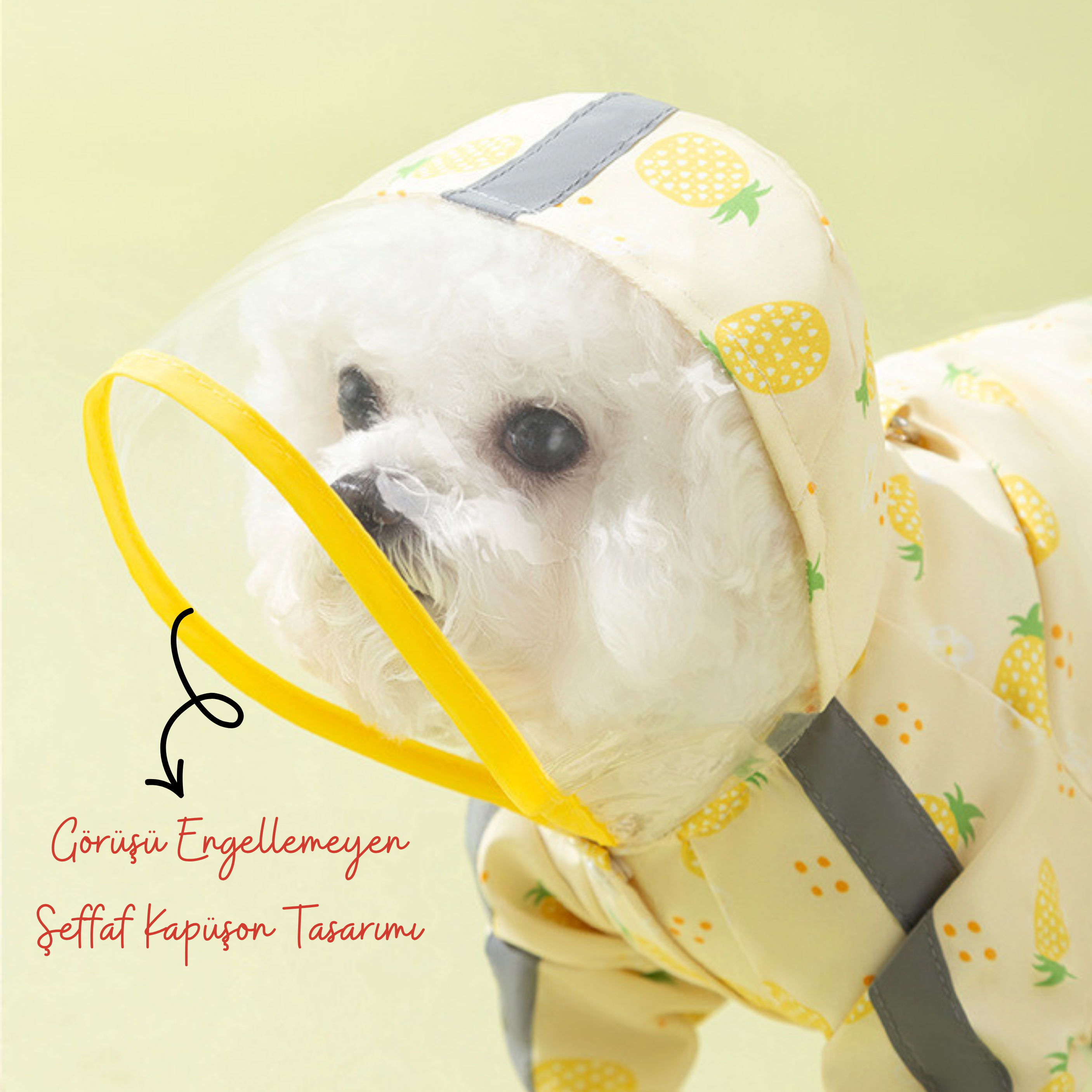 Maltipoodle Premium Yağmurluk