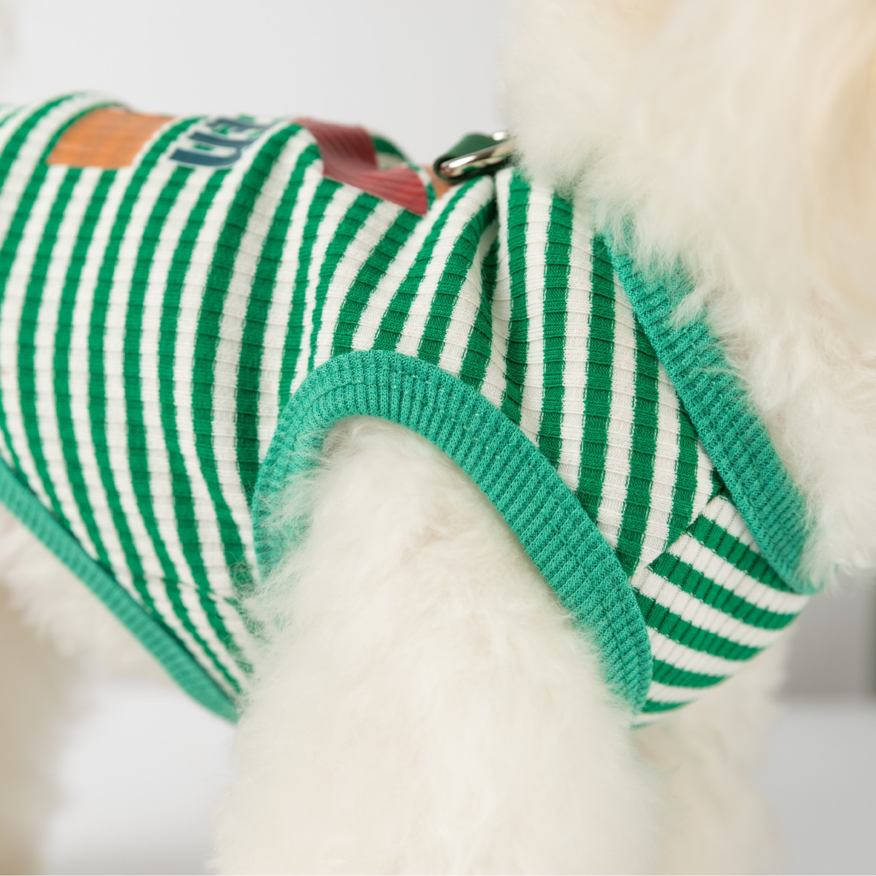 Sportif Köpek Kombini