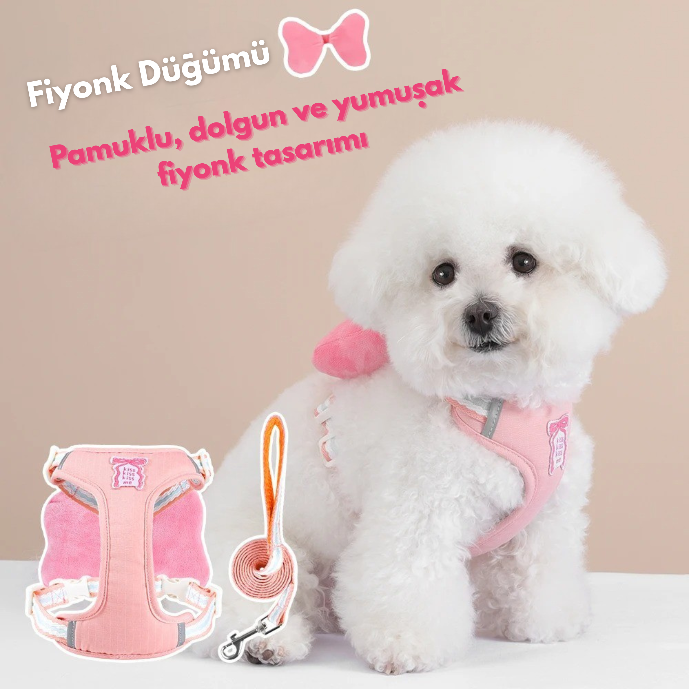 Maltipoodle