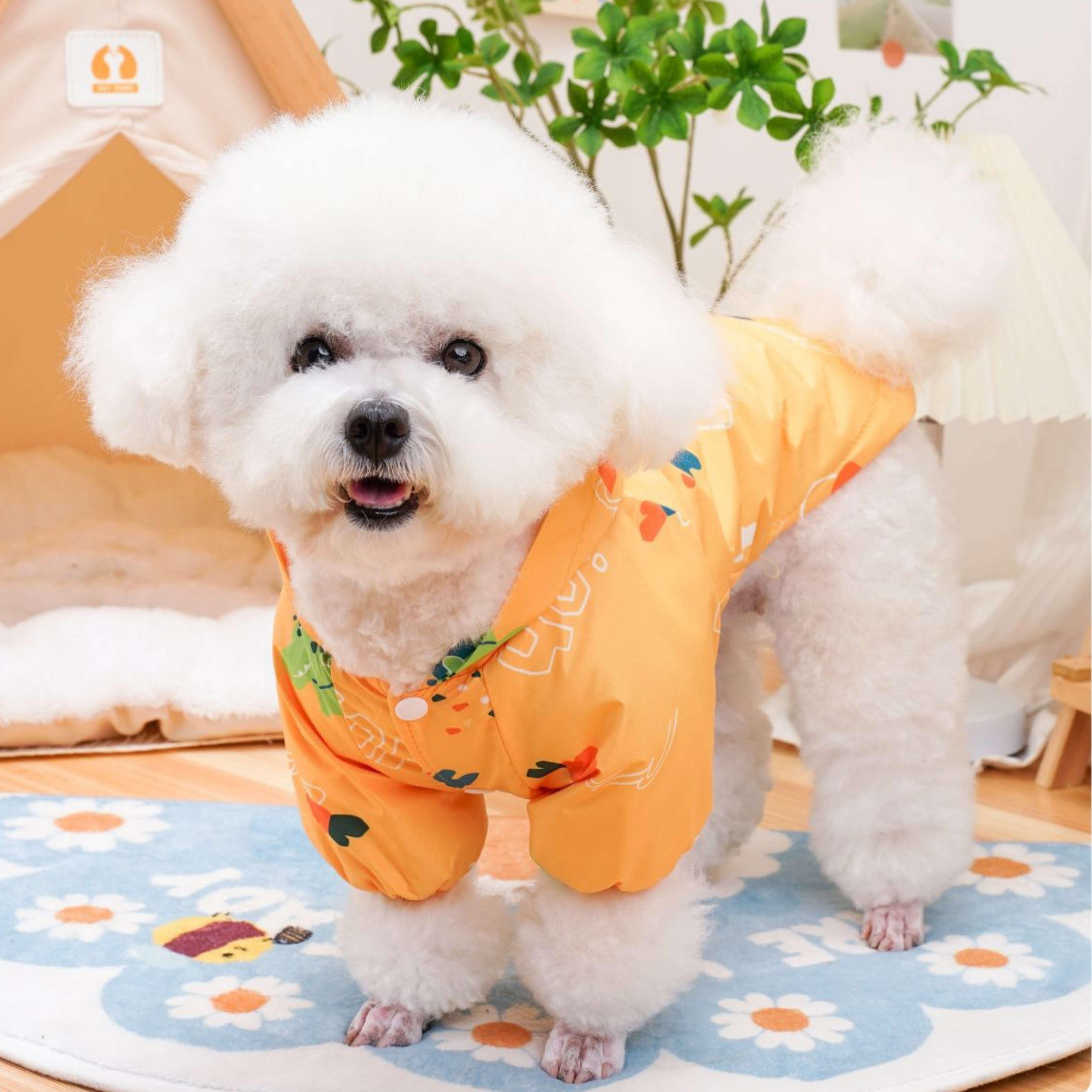 RainDay Renkli Yağmurluk Takımı