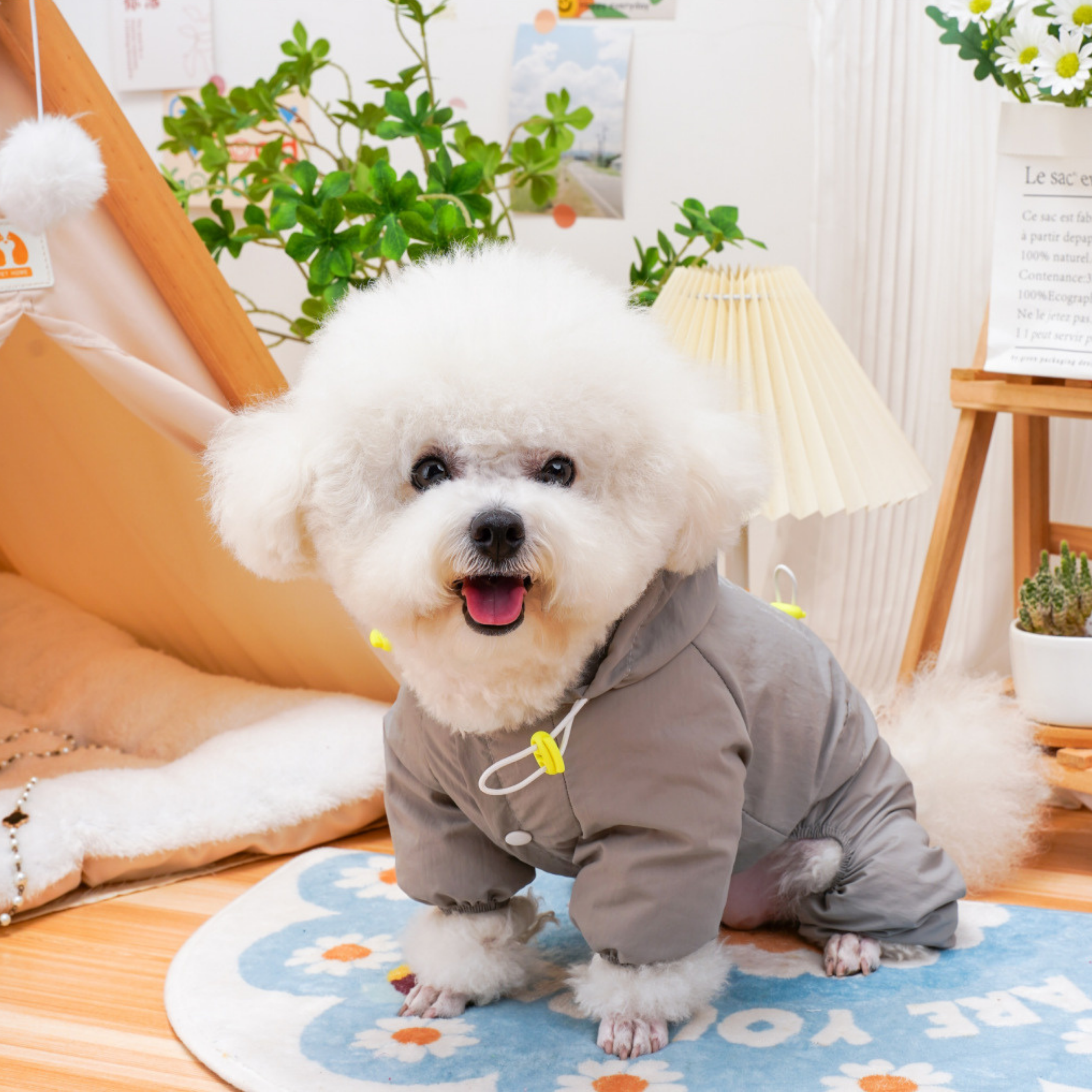 SafeStep Köpek Parkası