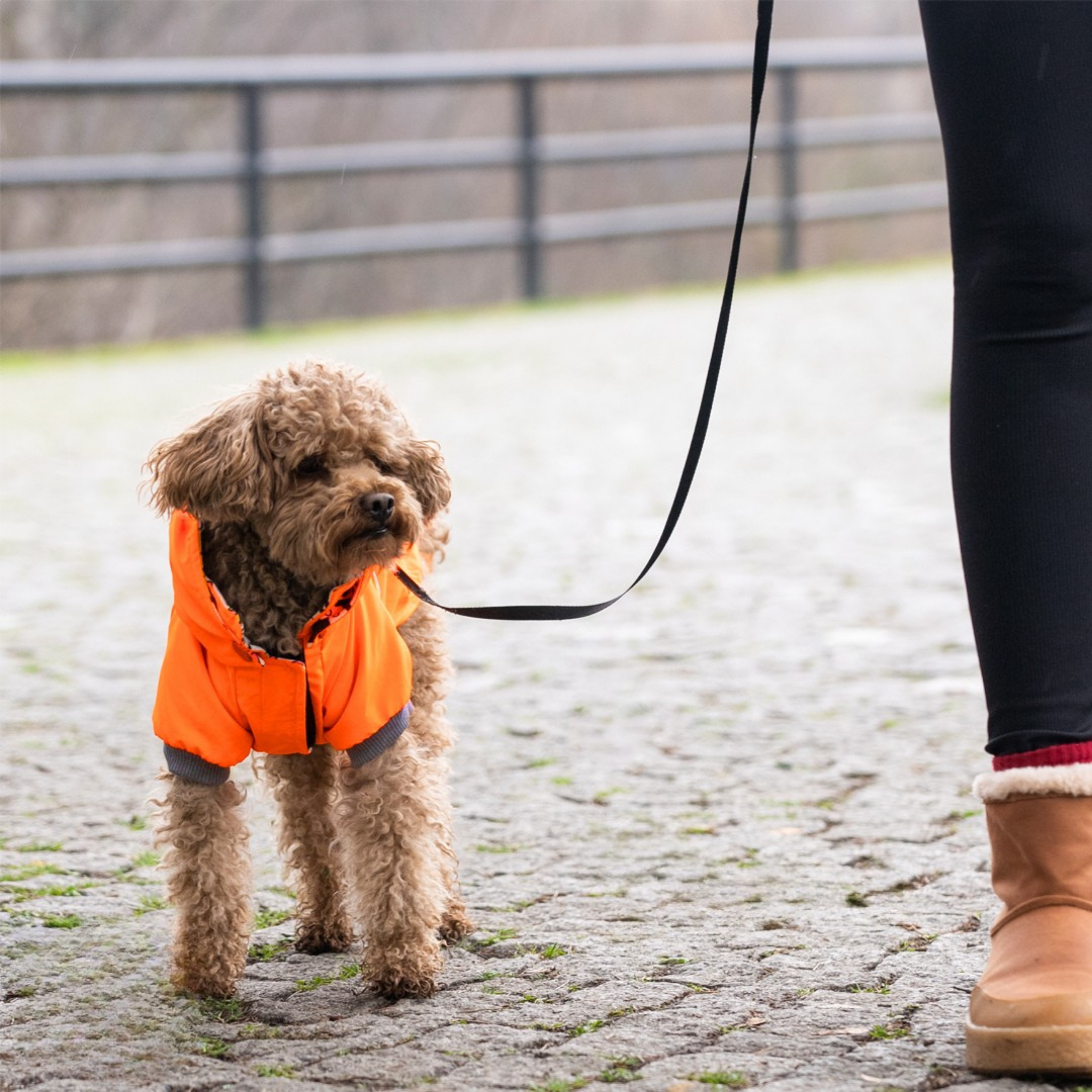HappyWalk Köpek Gezdirme Yağmurluğu