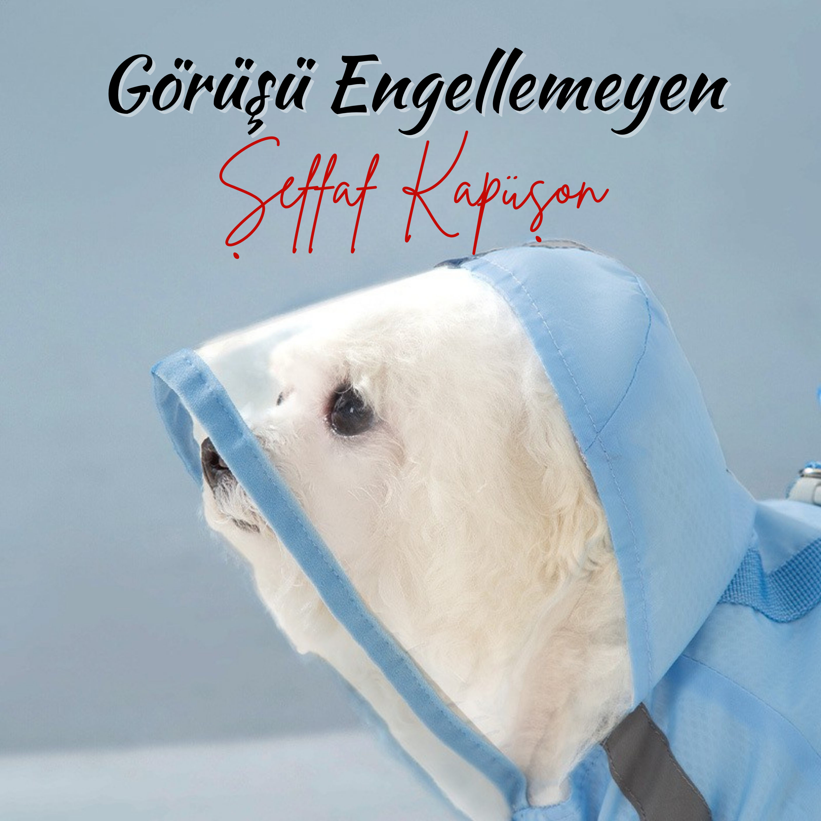 Köpek Gezdirme Yağmurluğu