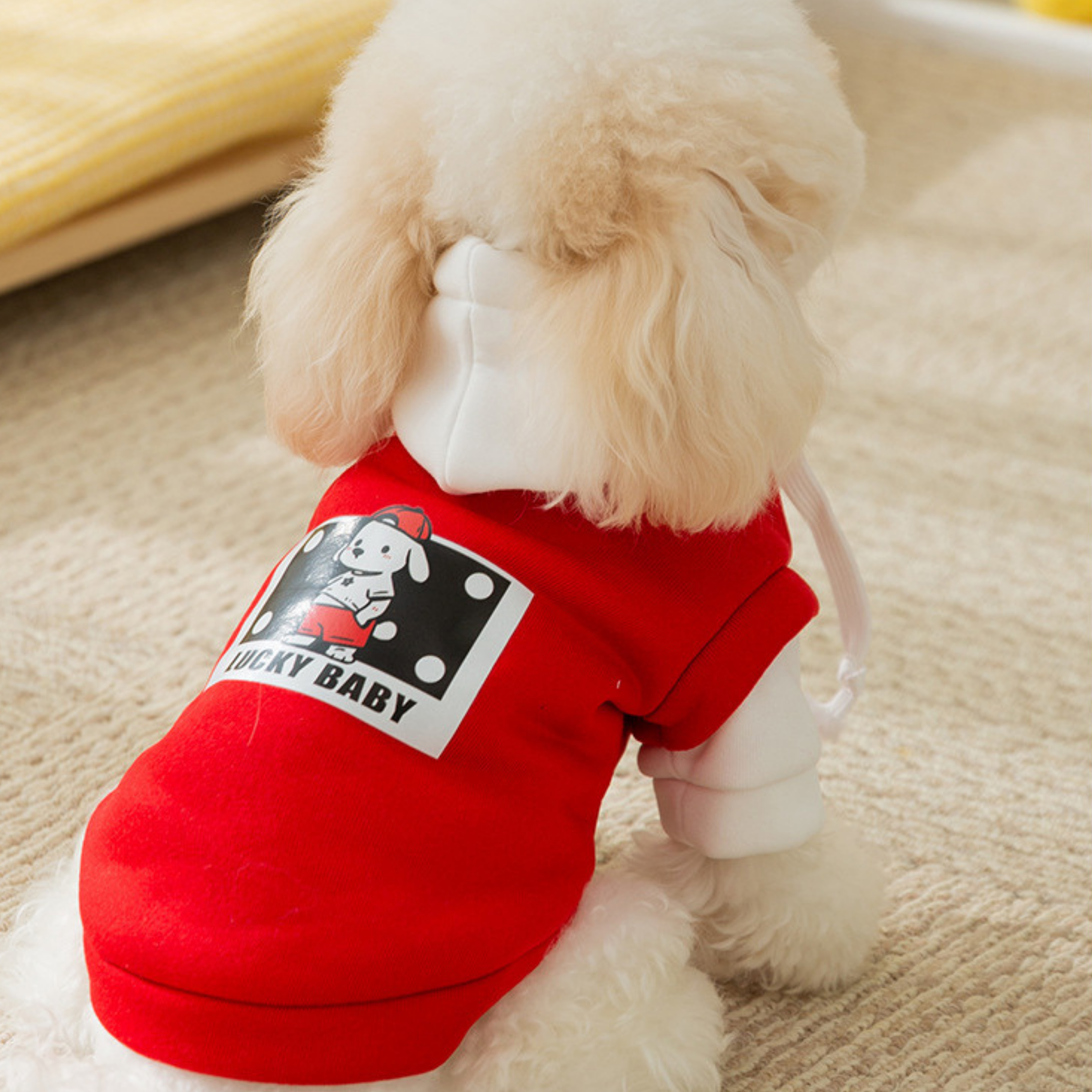 Kapüşonlu Pati Hoodie