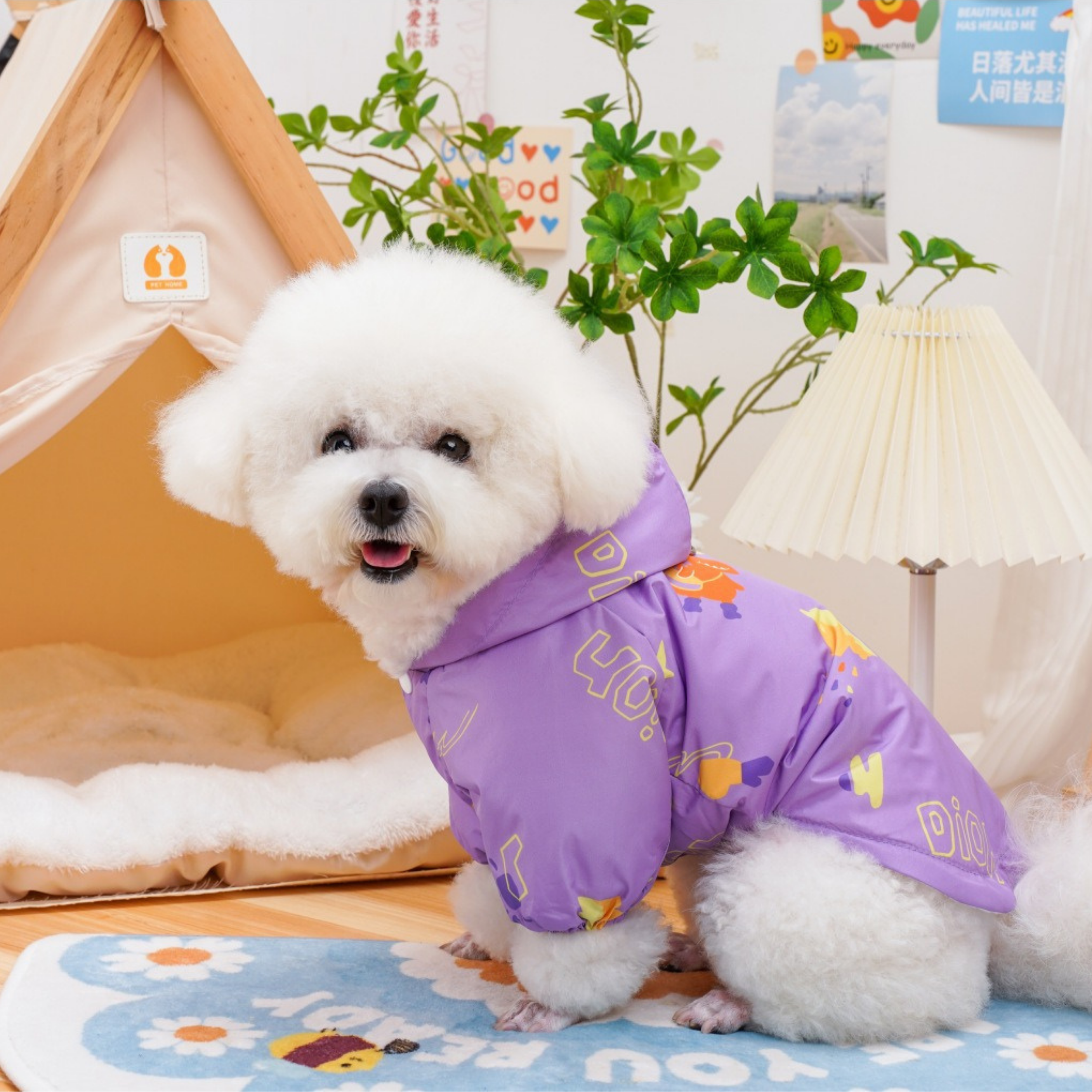 RainDay Renkli Yağmurluk Takımı